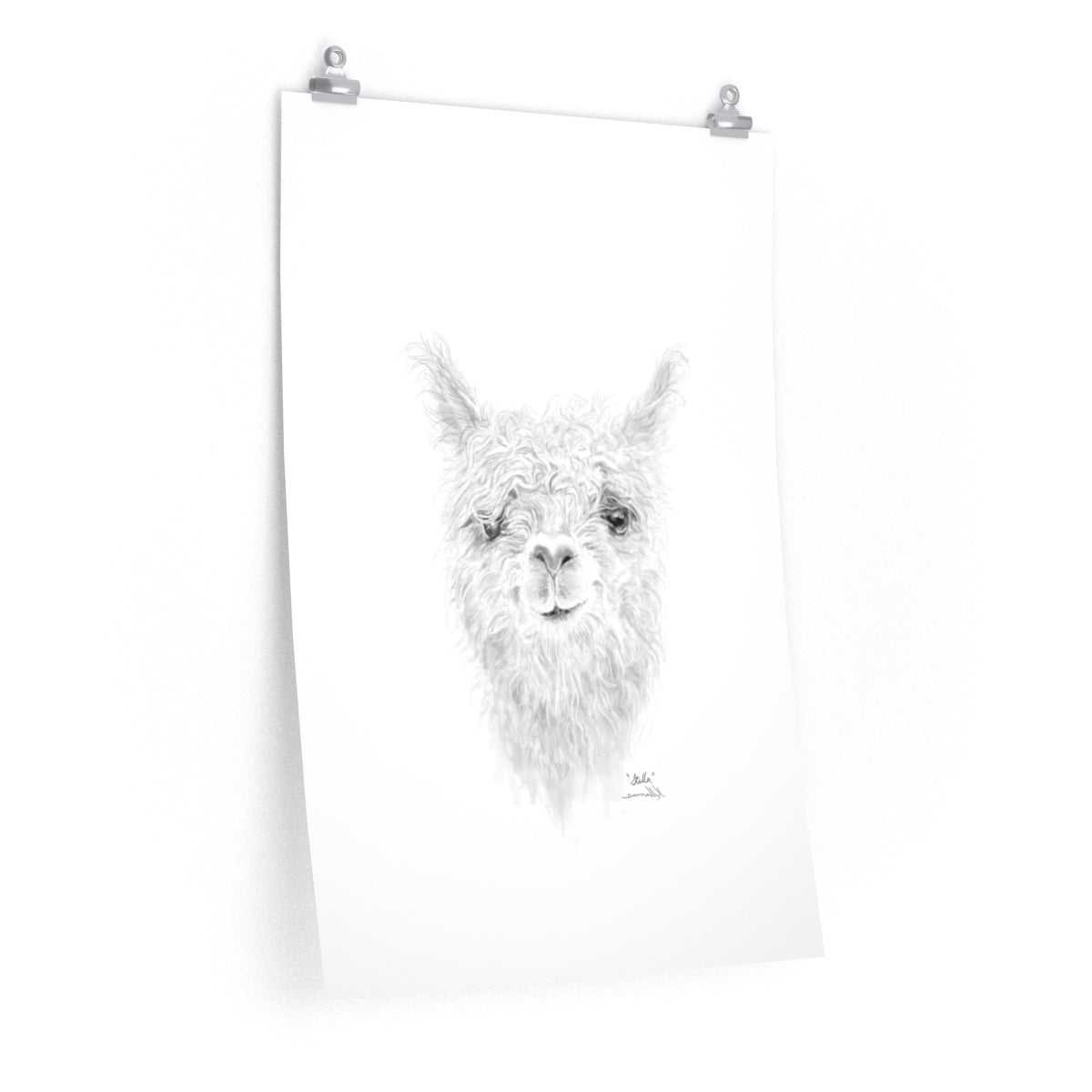 STELLA Llama- Art Paper Print