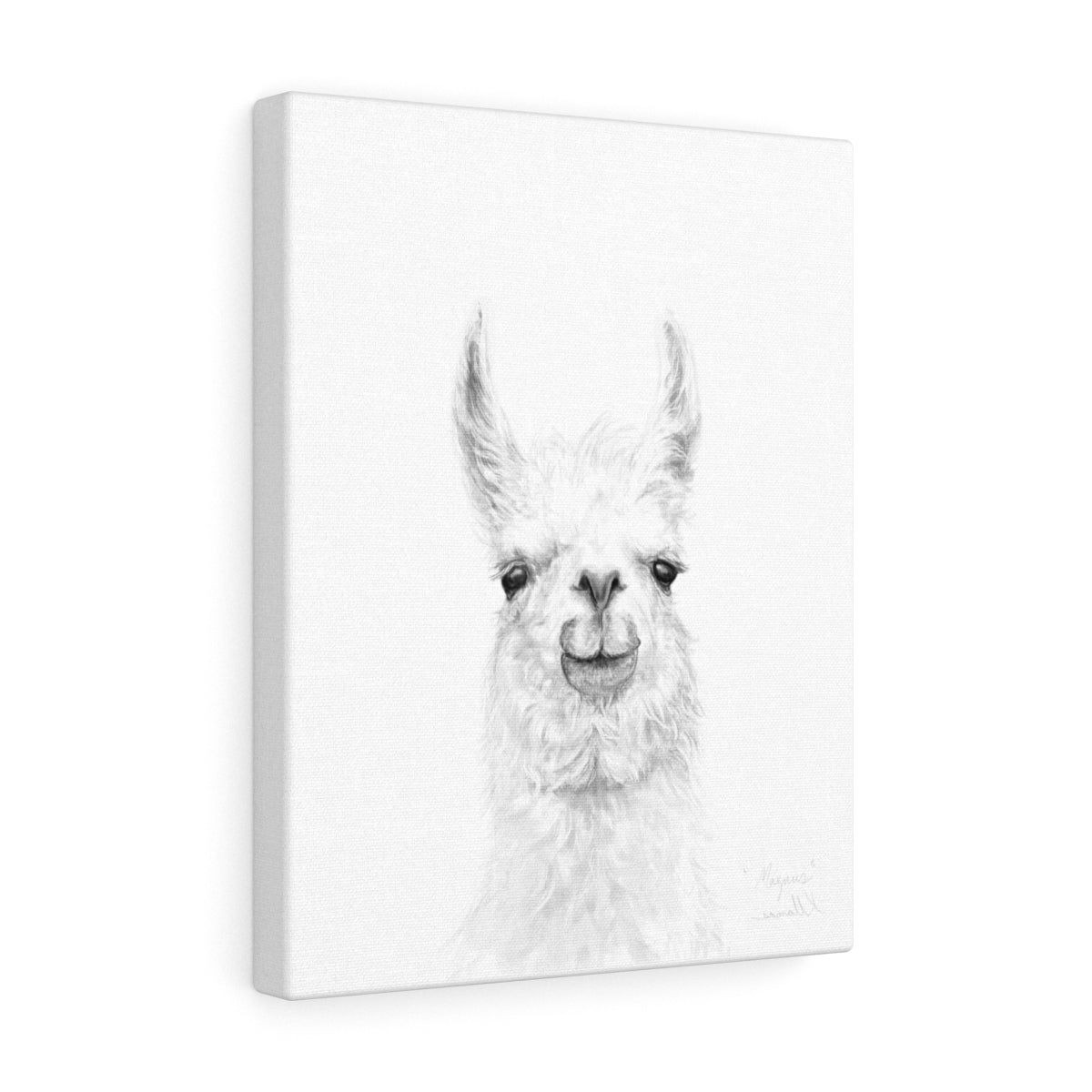 MAGNUS Llama - Art Canvas