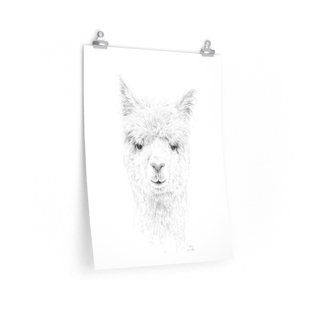 DOUG Llama- Art Paper Print
