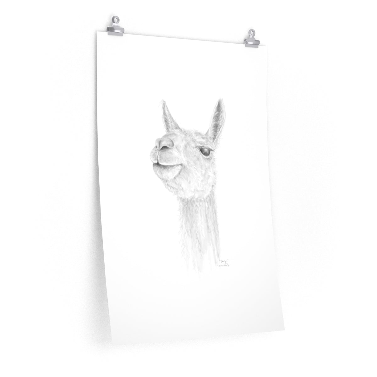 DAVYN Llama- Art Paper Print