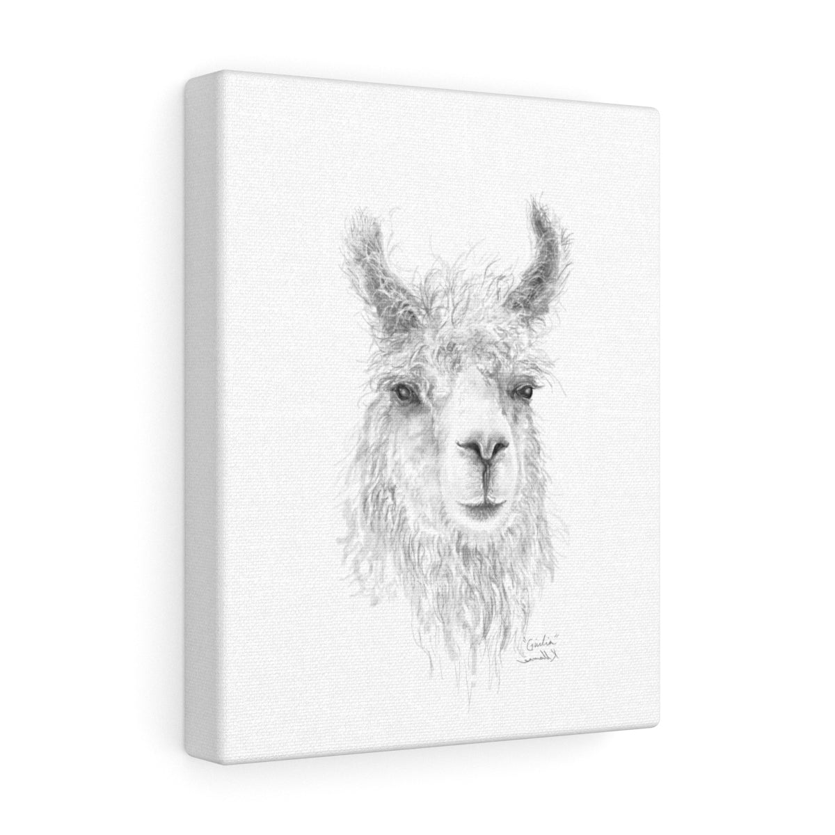 GIULIA Llama - Art Canvas