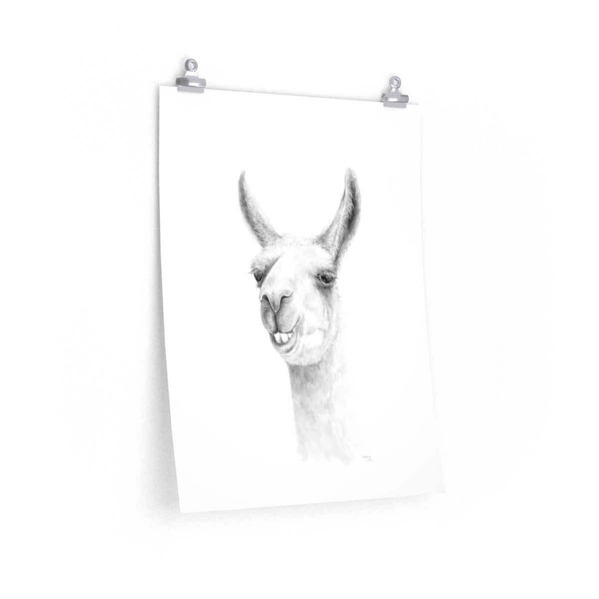 MAGDALENA Llama- Art Paper Print