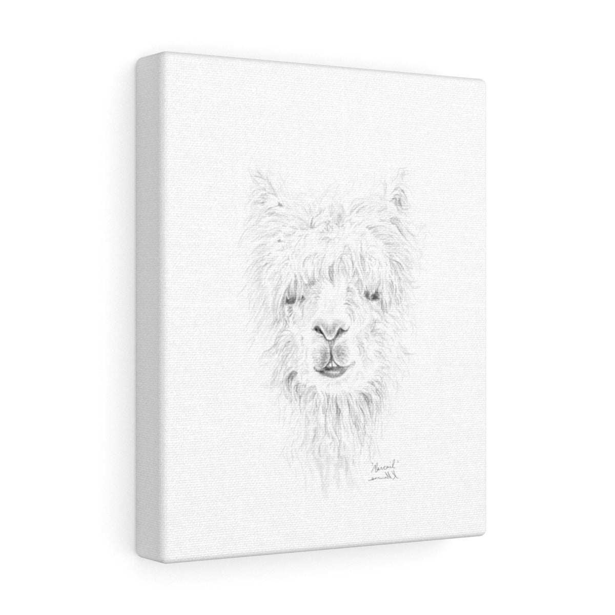 MARCAIL Llama - Art Canvas