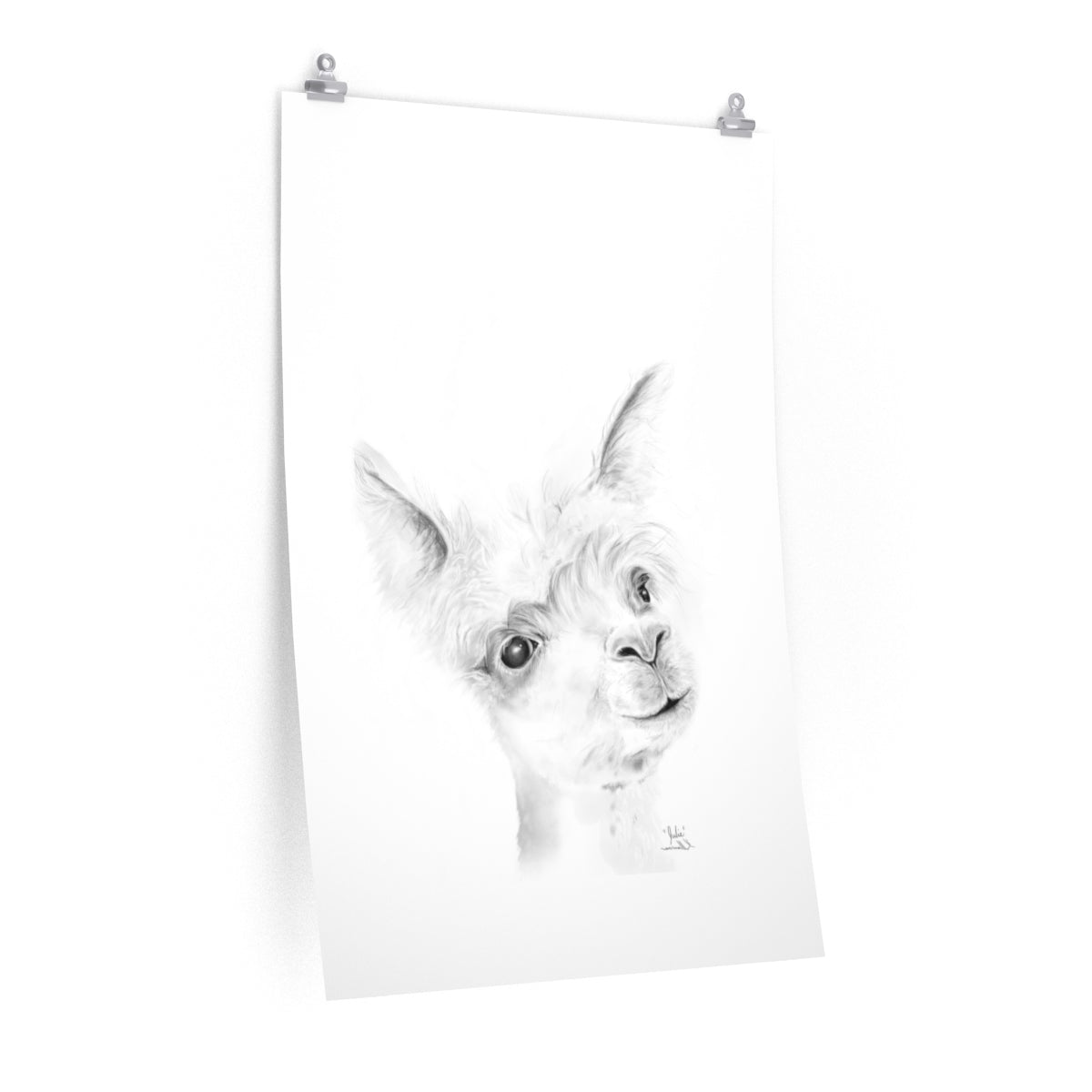 JULIE Llama- Art Paper Print