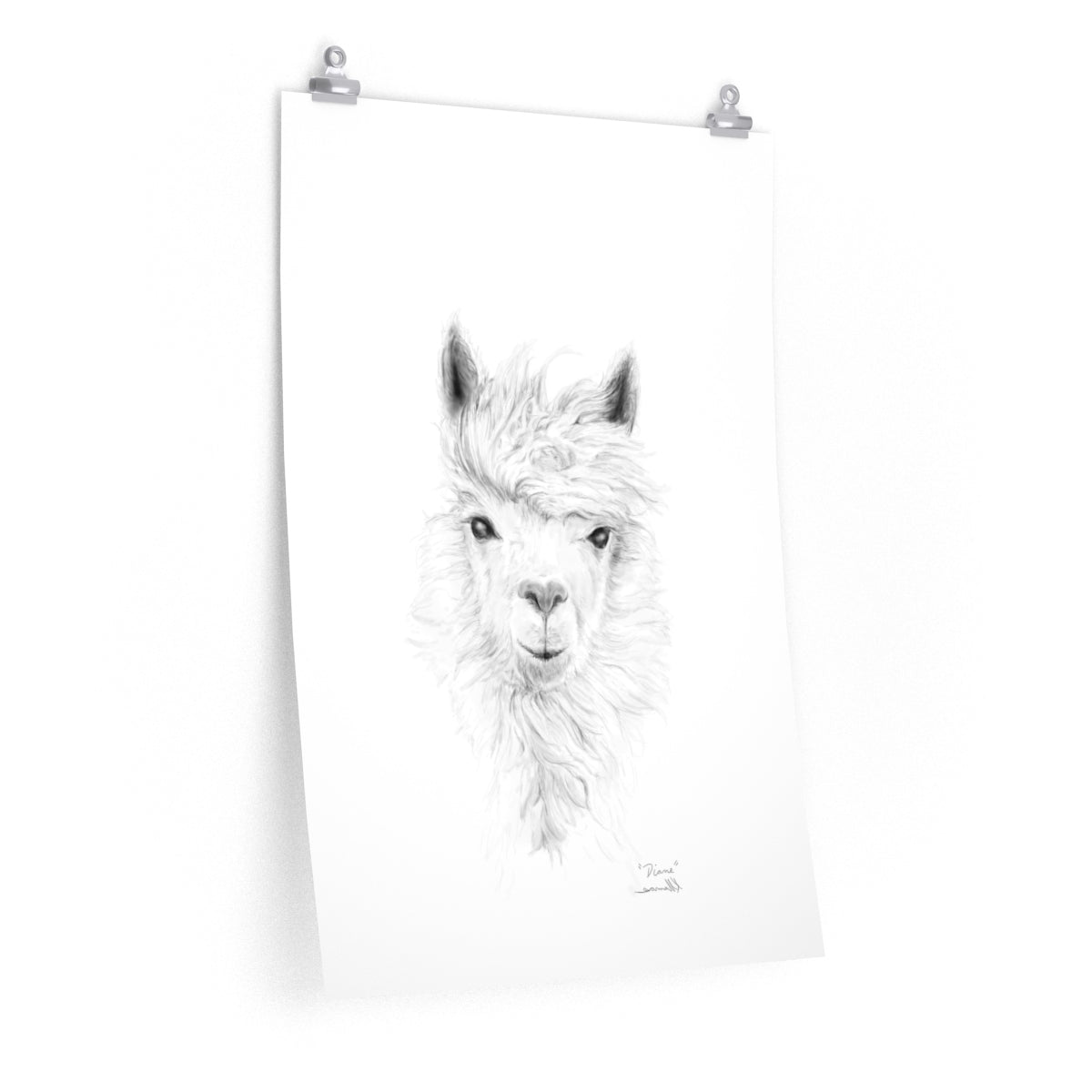 DIANE Llama- Art Paper Print