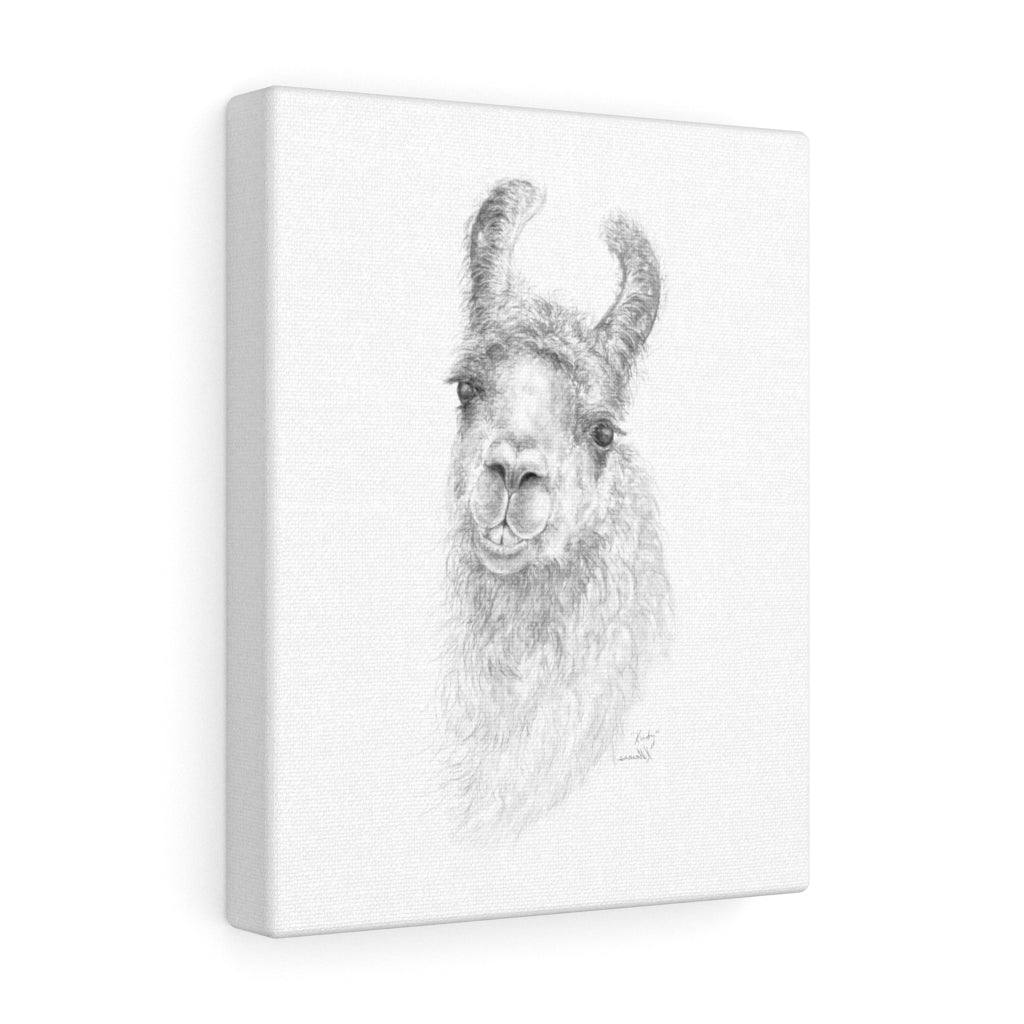 KIRBY Llama - Art Canvas