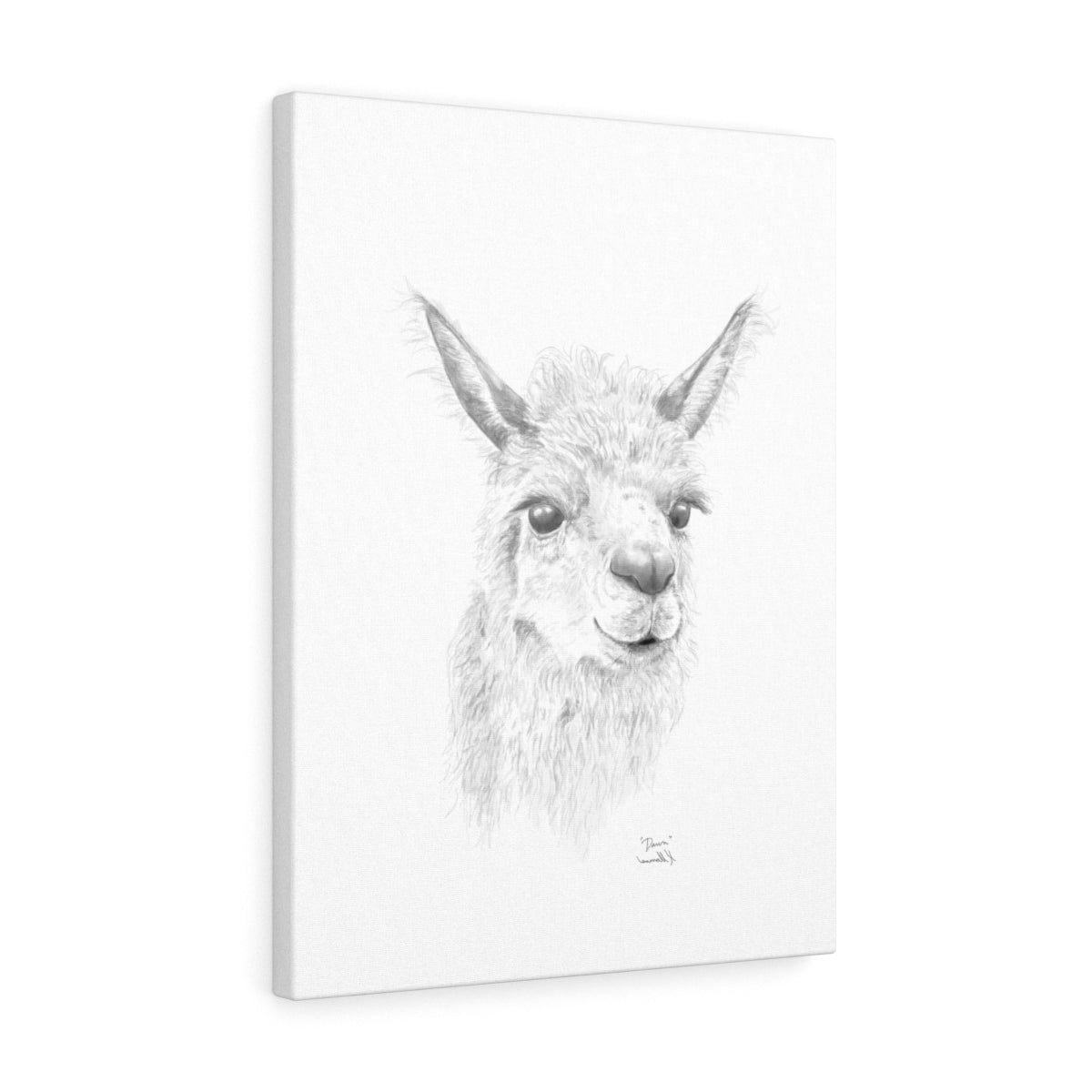 Dawn Llama - Art Canvas