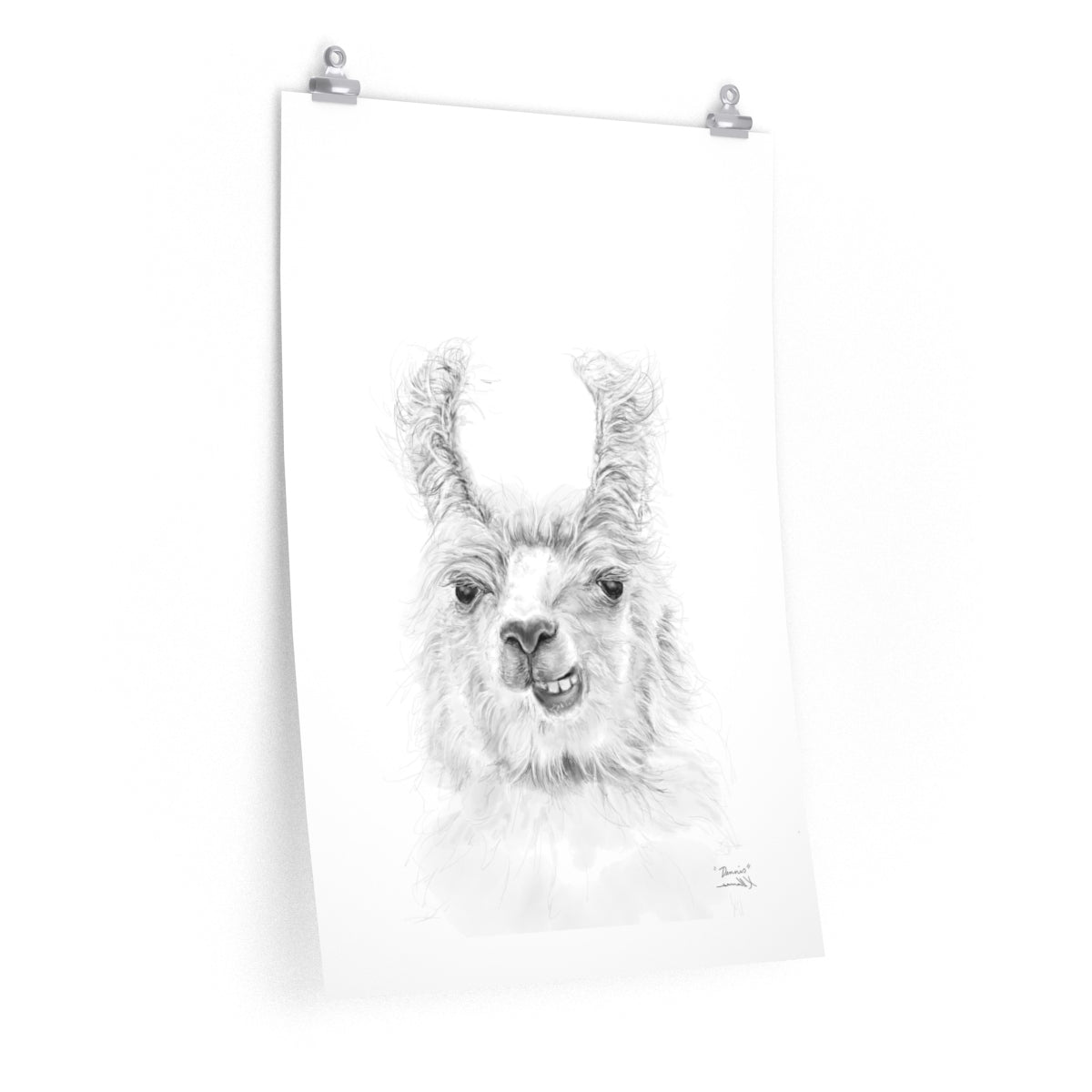 DENNIS Llama- Art Paper Print