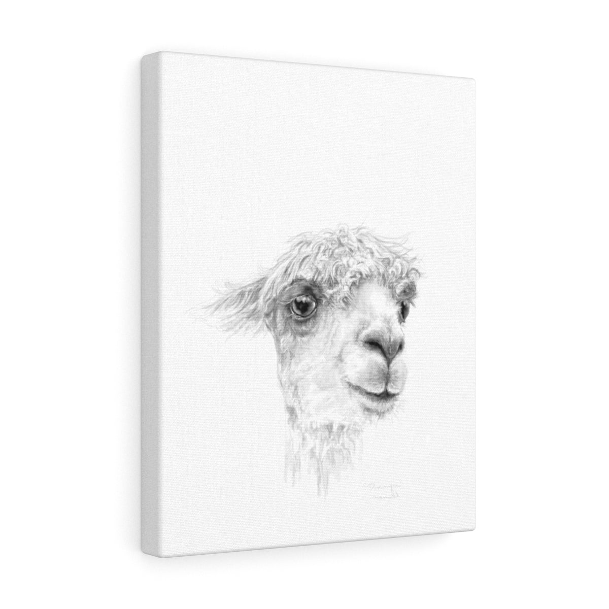 DOMINIQUE Llama - Art Canvas