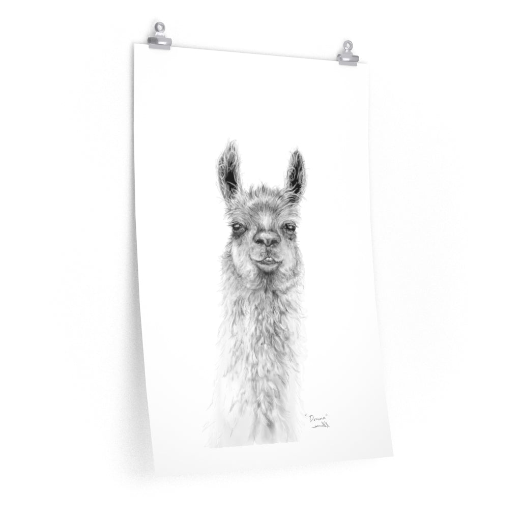 DONNA Llama- Art Paper Print