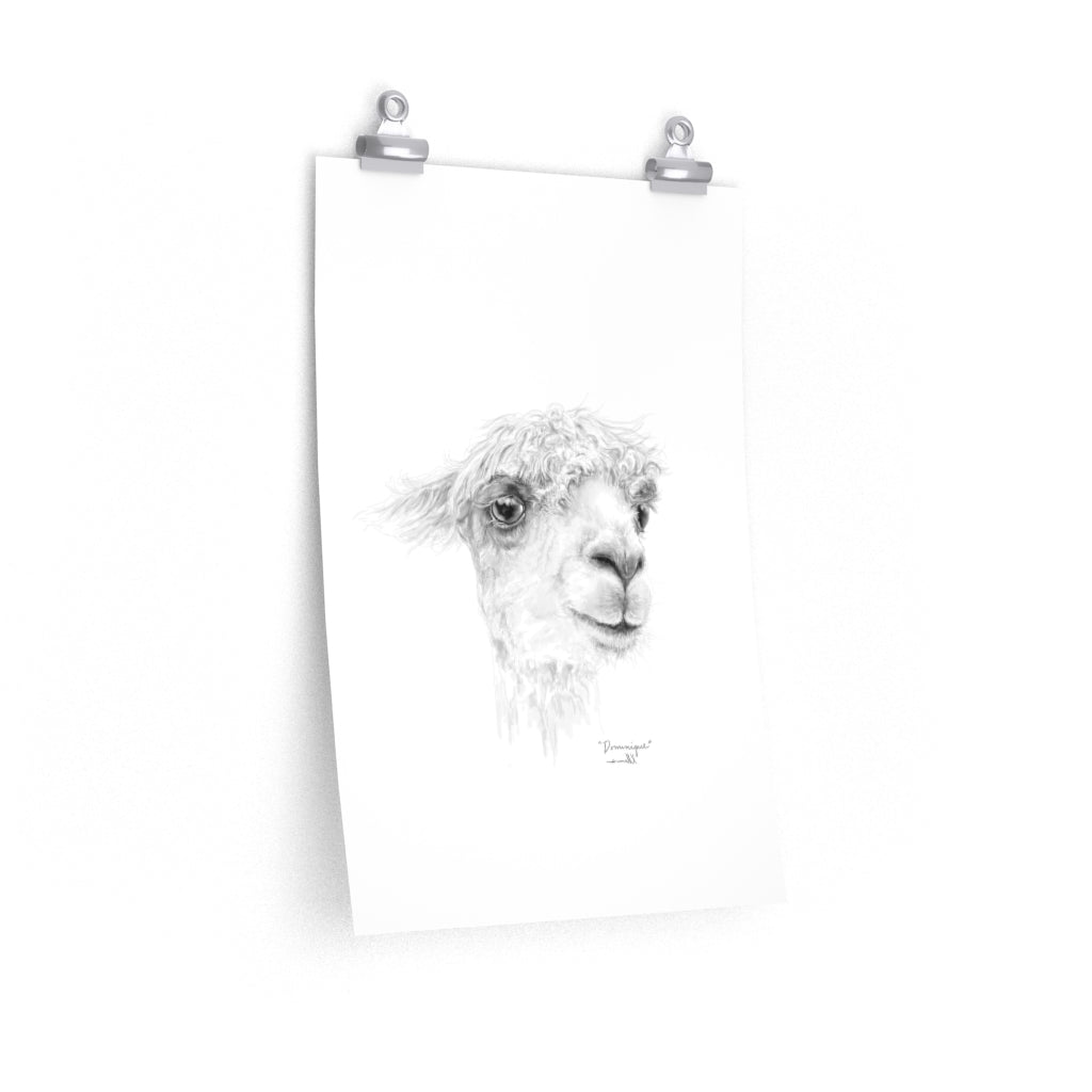 DOMINIQUE Llama- Art Paper Print