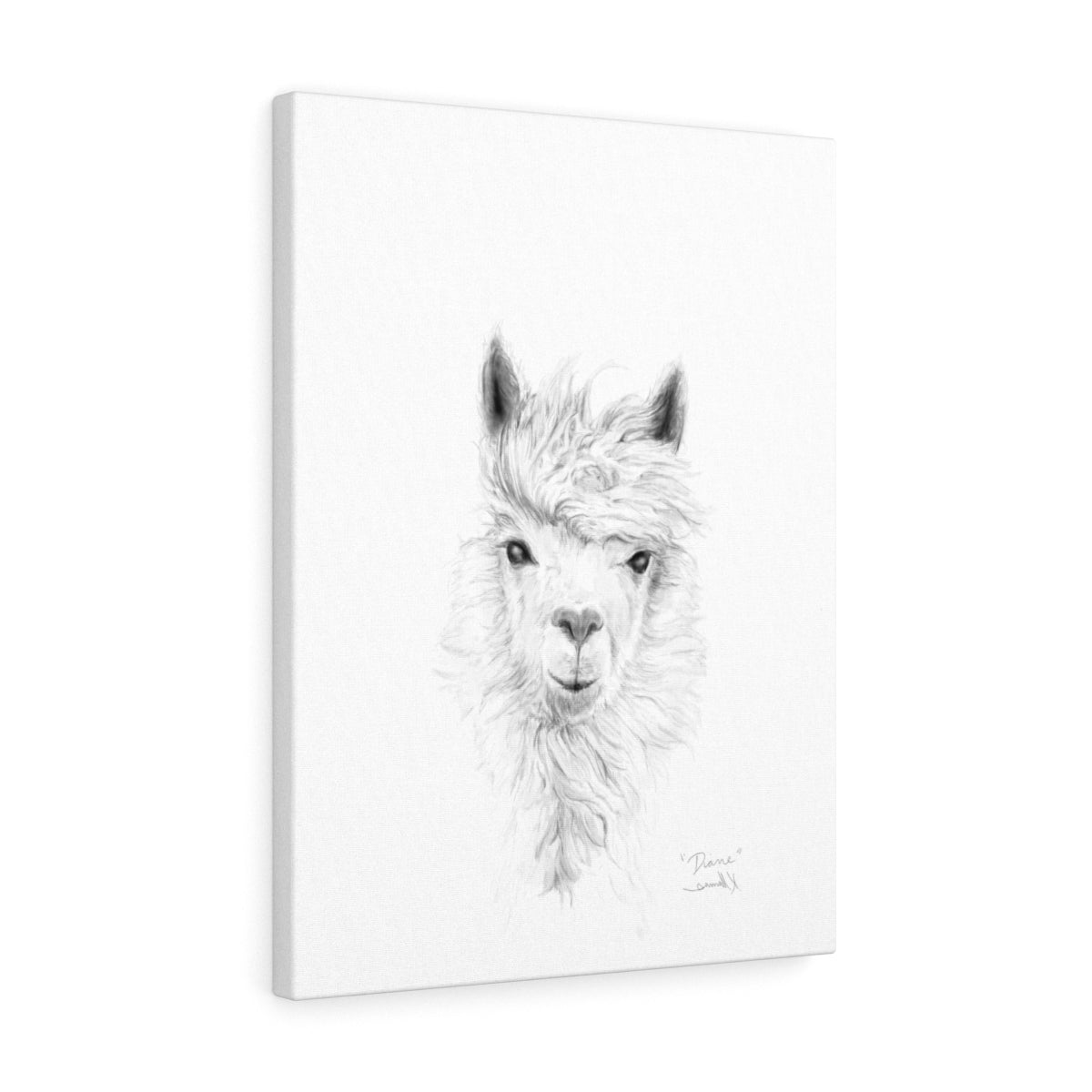 DIANE Llama - Art Canvas