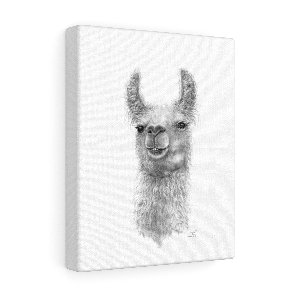 CRYSTAL Llama - Art Canvas