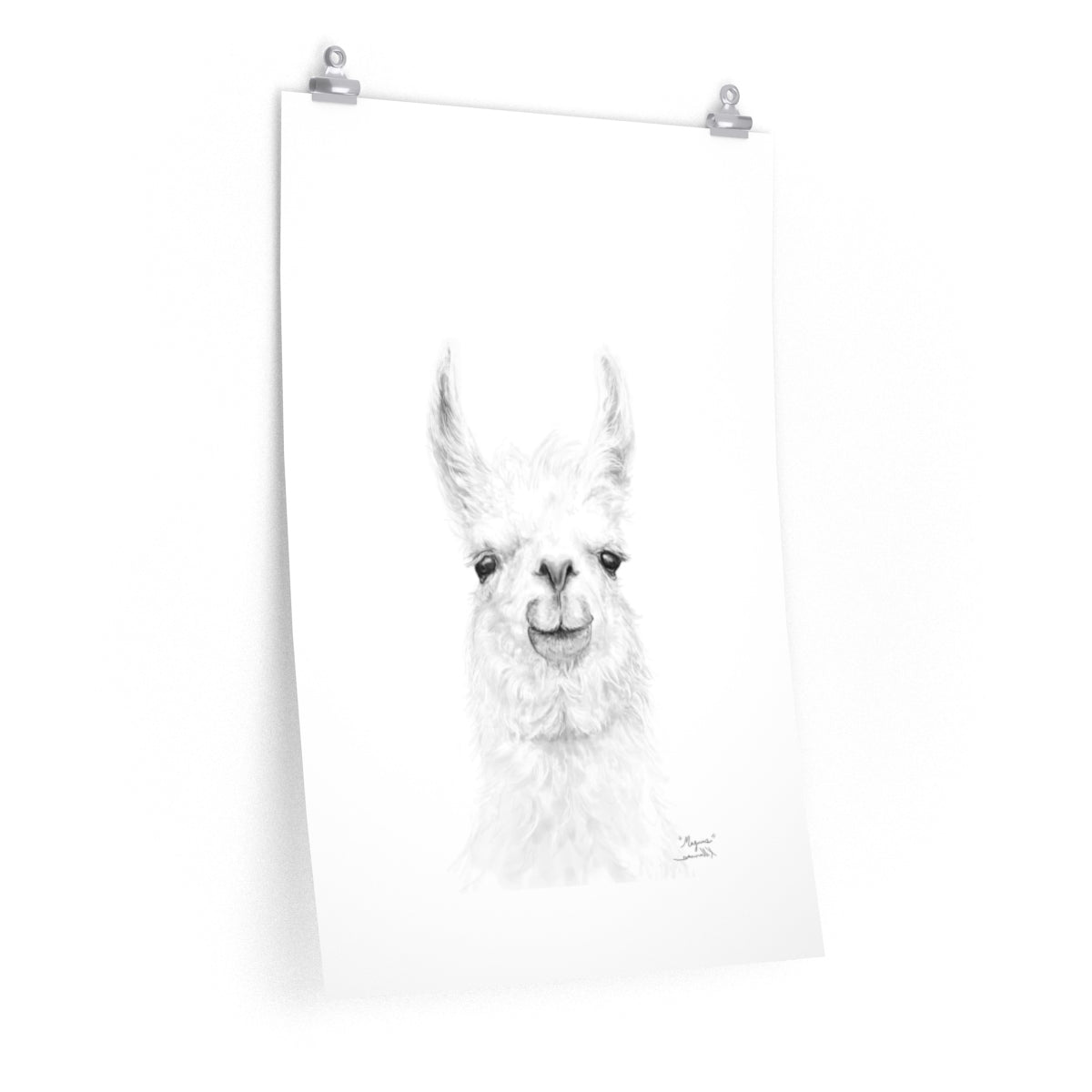 MAGNUS Llama- Art Paper Print