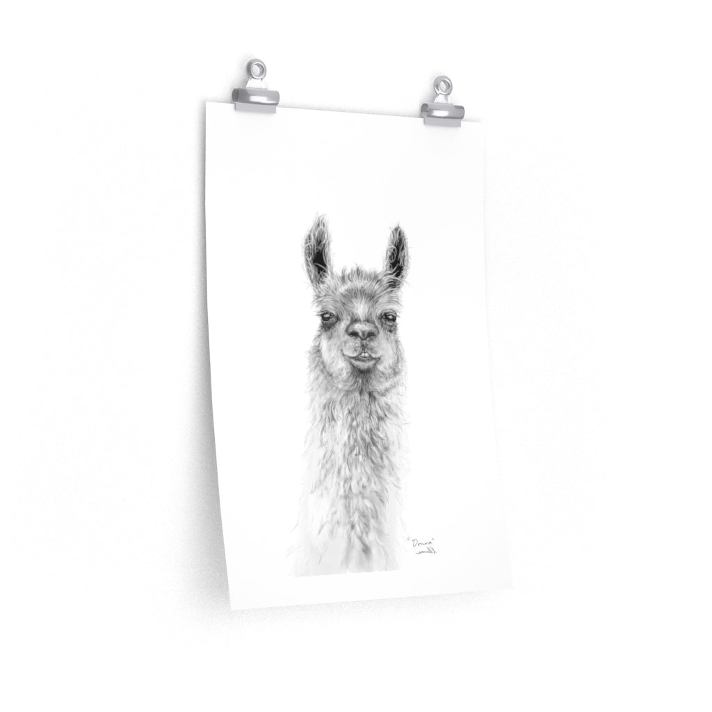 DONNA Llama- Art Paper Print