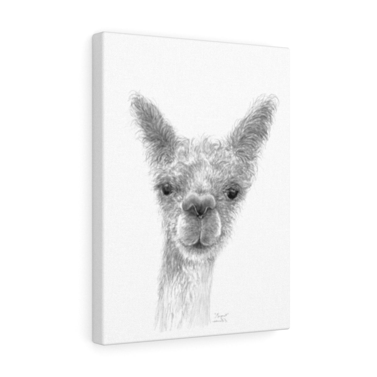 MARGARET Llama - Art Canvas