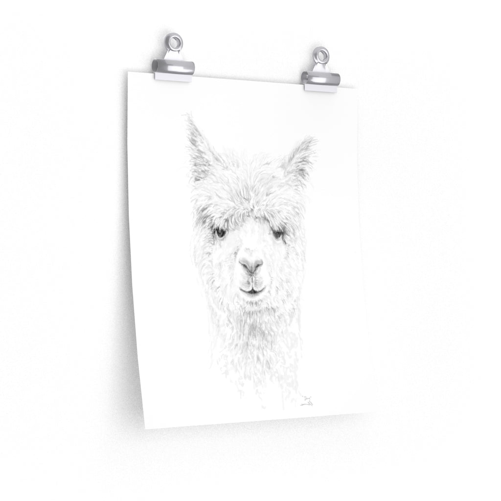 DOUG Llama- Art Paper Print