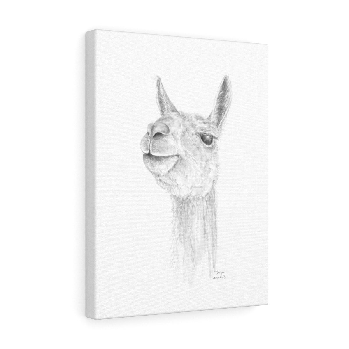 DAVYN Llama - Art Canvas