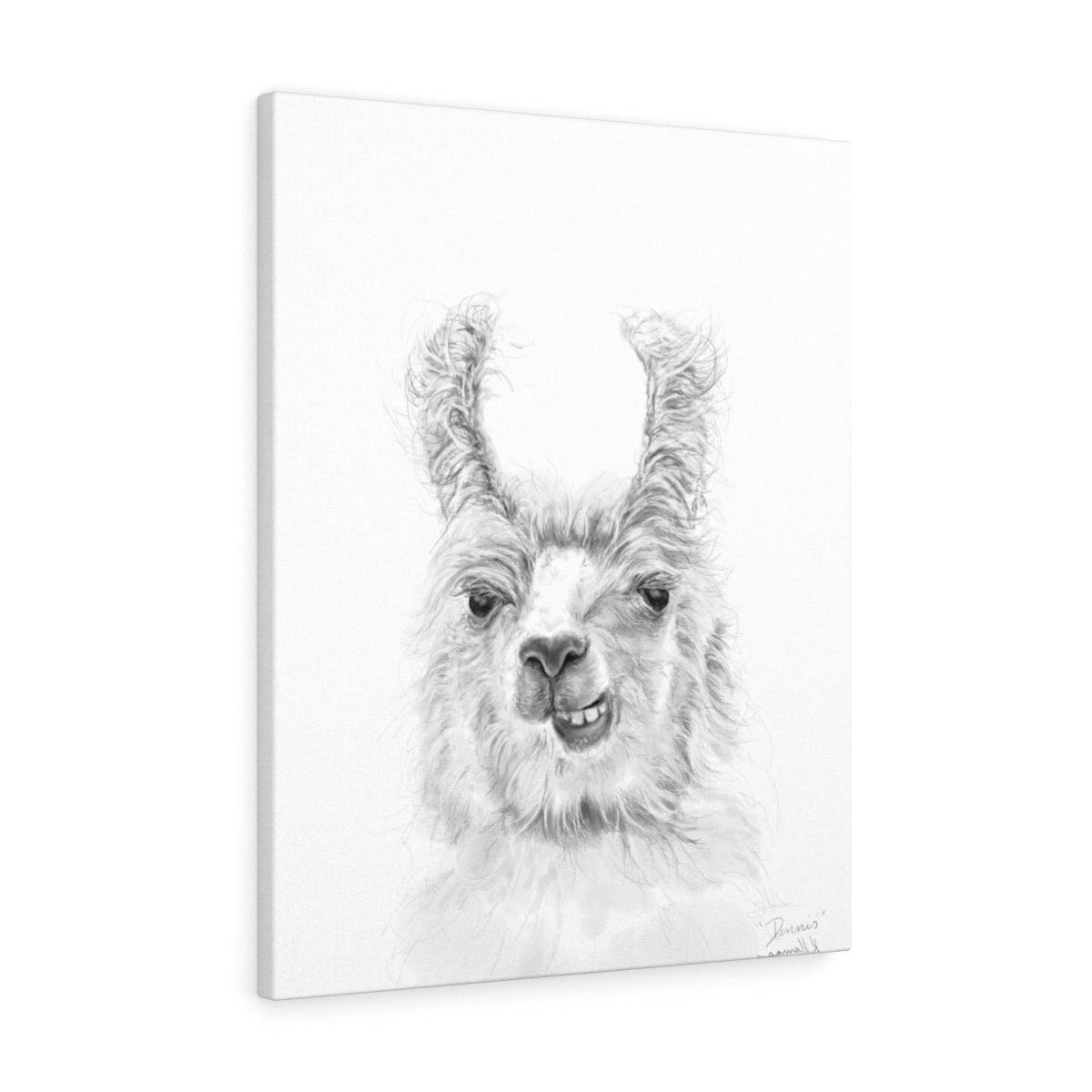 DENNIS Llama - Art Canvas
