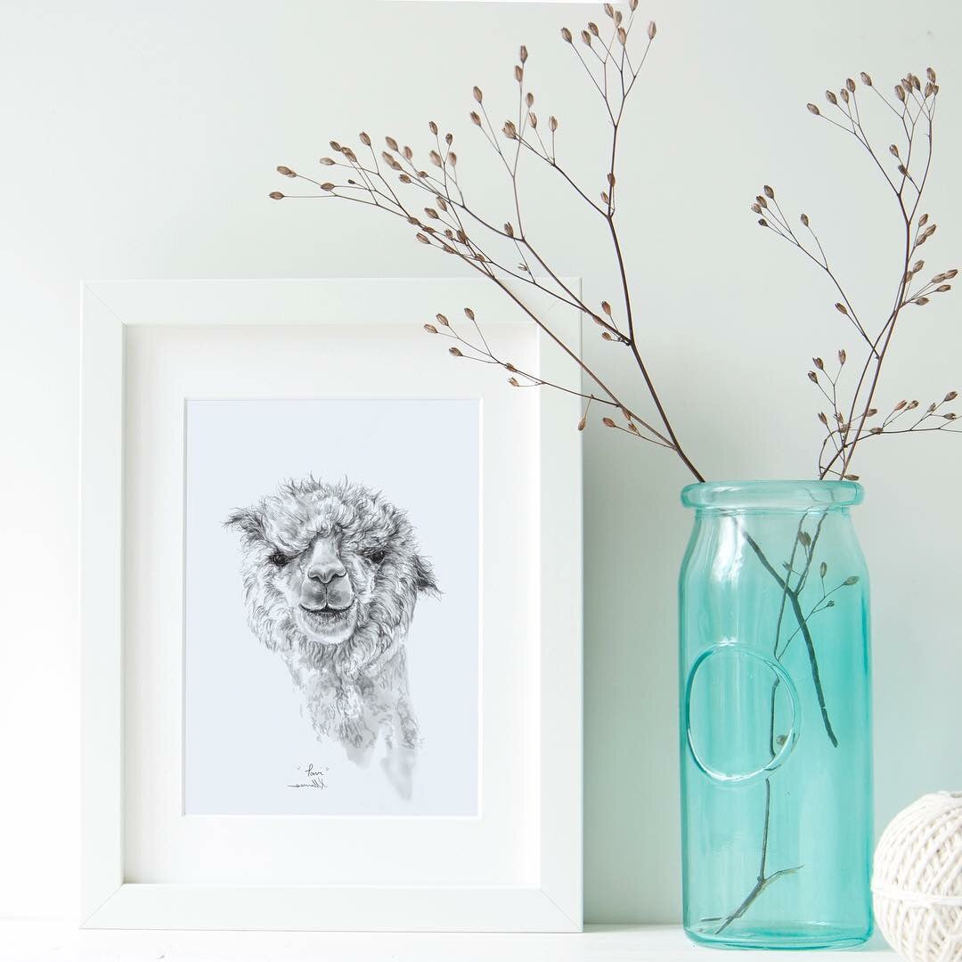 5x7” Llama Print