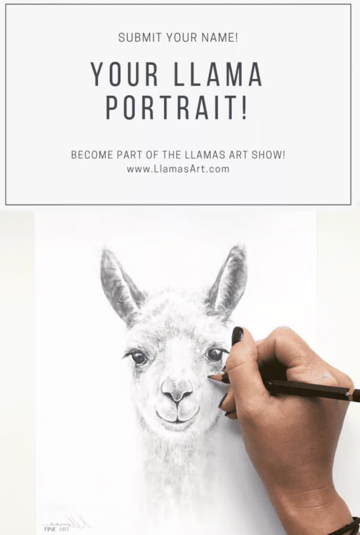 LLAMAS ART SHOW!