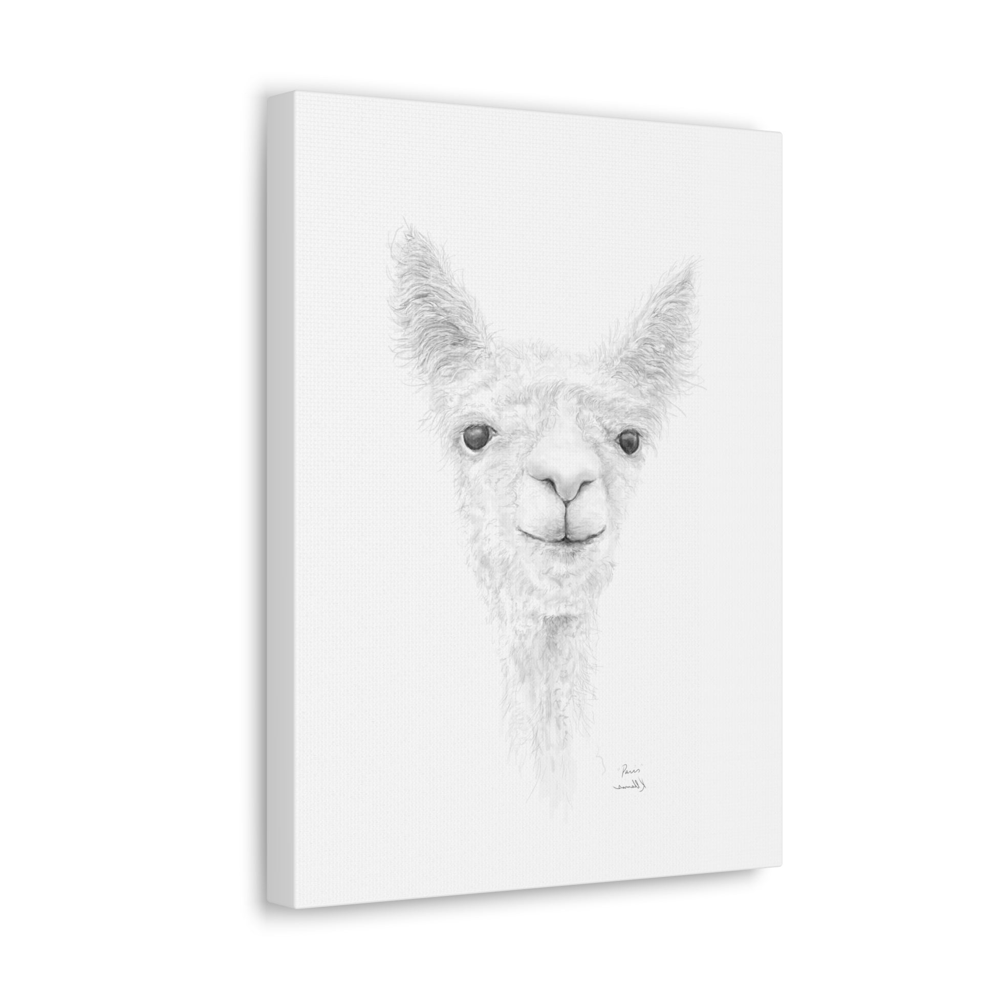 PARIS Llama - Art Canvas