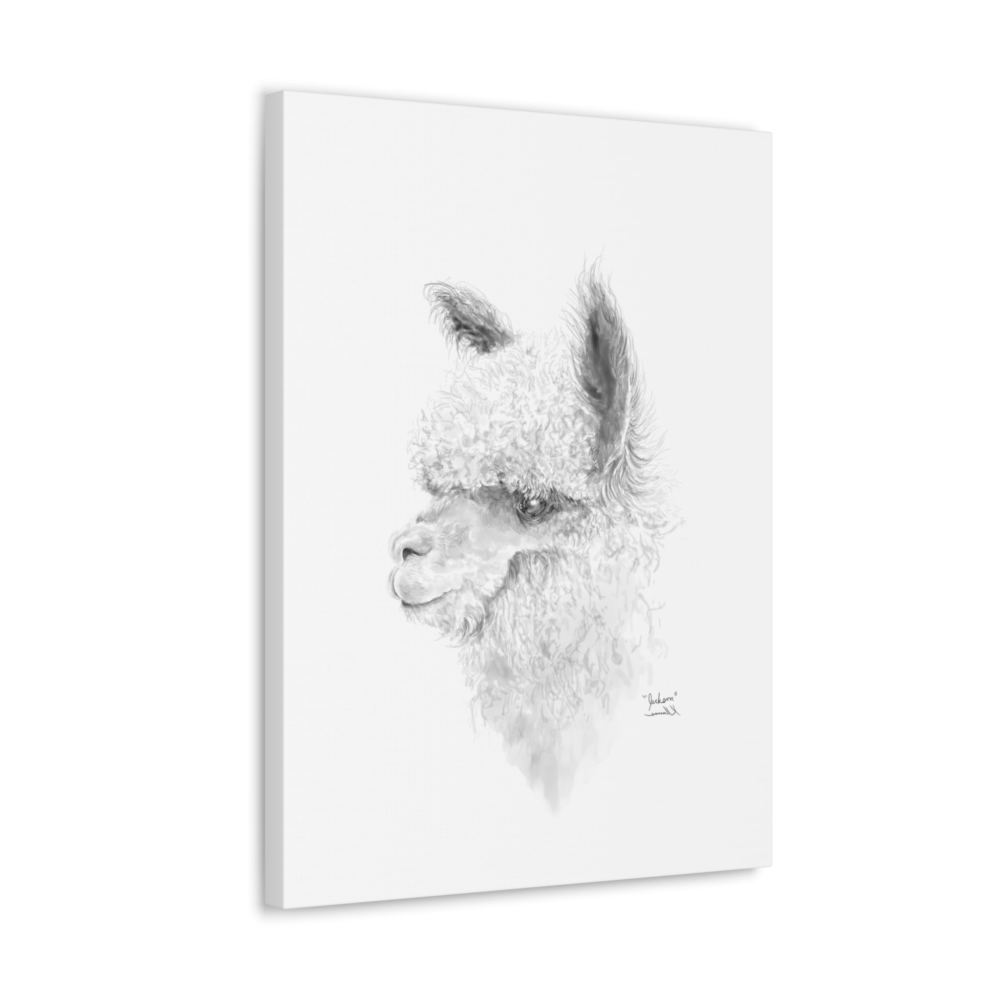 JACKSON Llama - Art Canvas