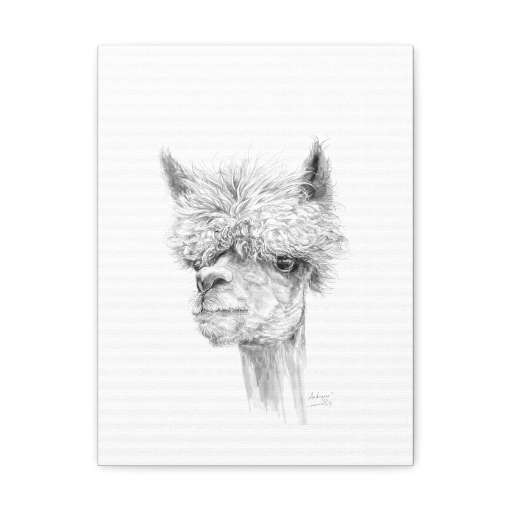 ANDREW llama- Art Canvas