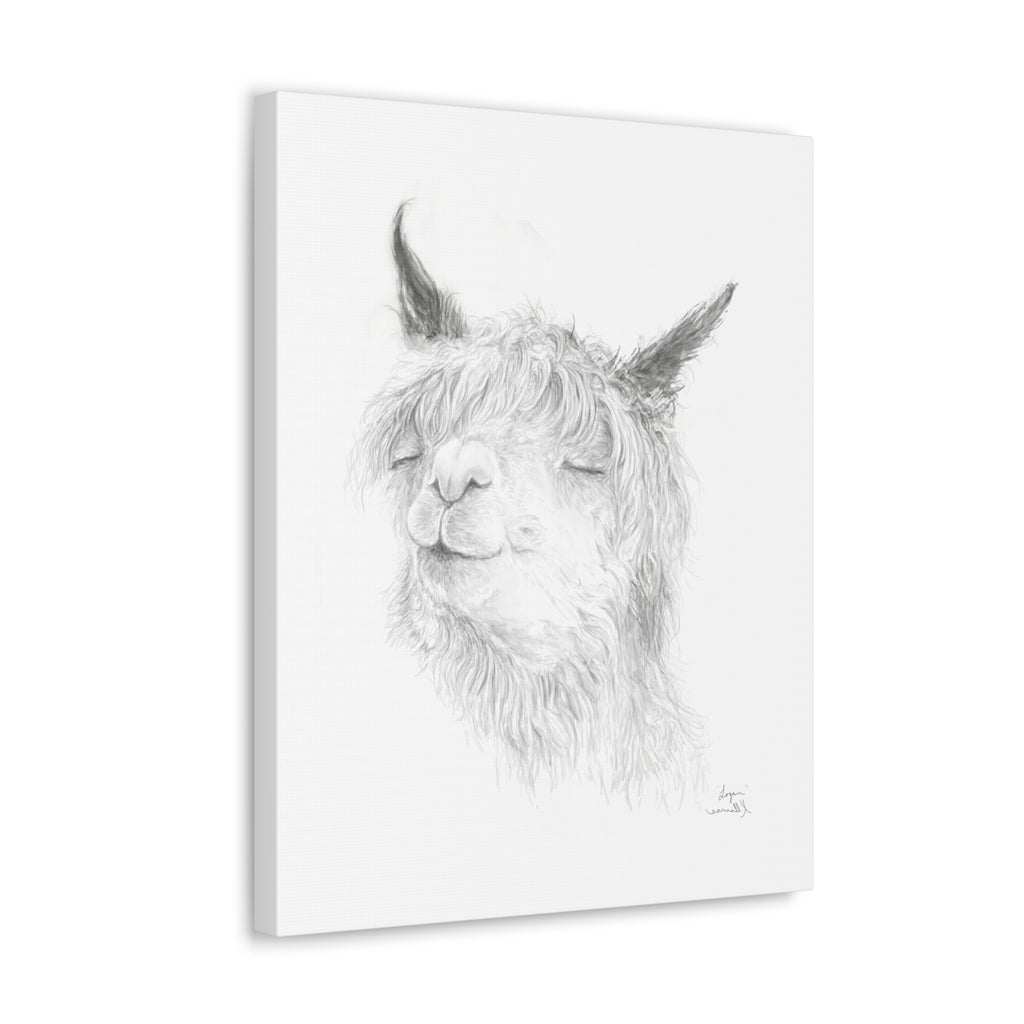 LOGAN Llama - Art Canvas