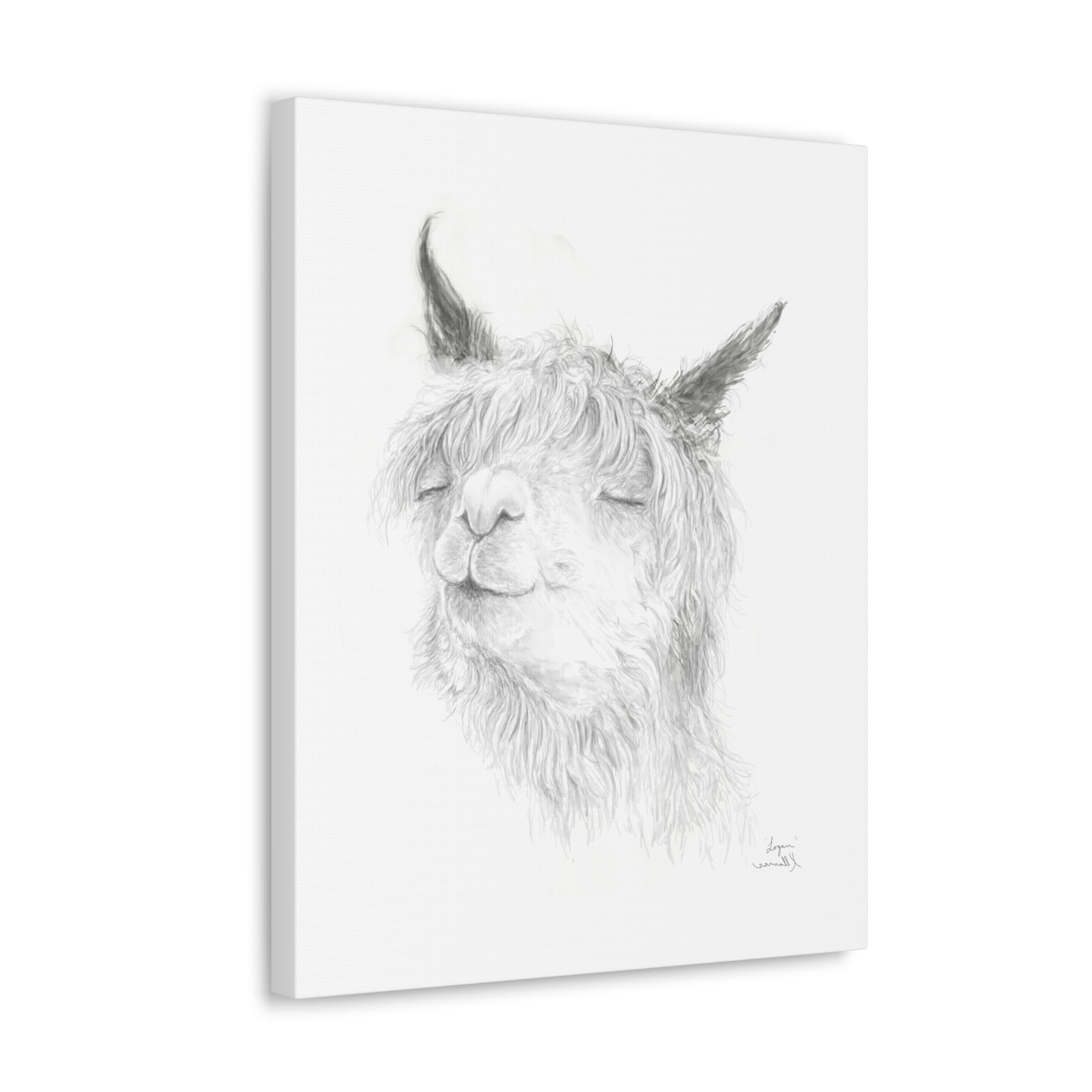 LOGAN Llama - Art Canvas