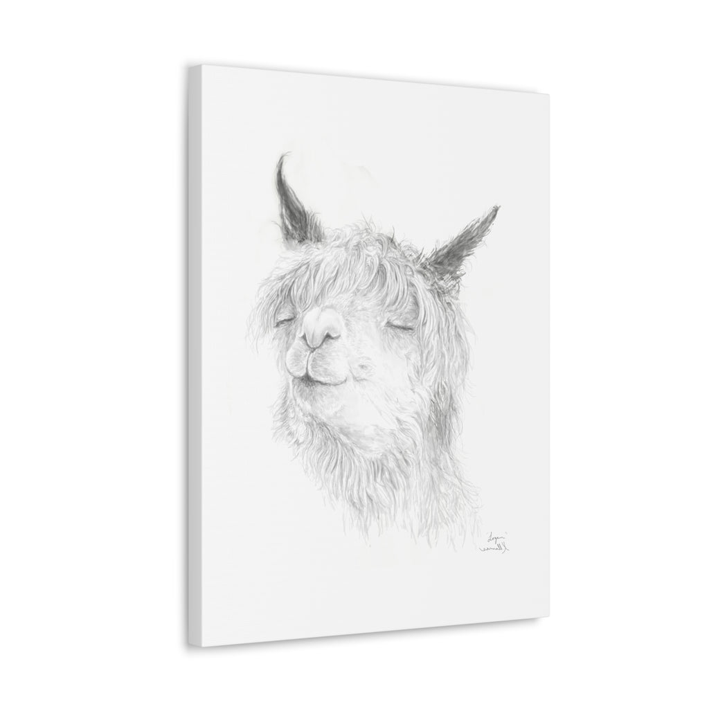 LOGAN Llama - Art Canvas