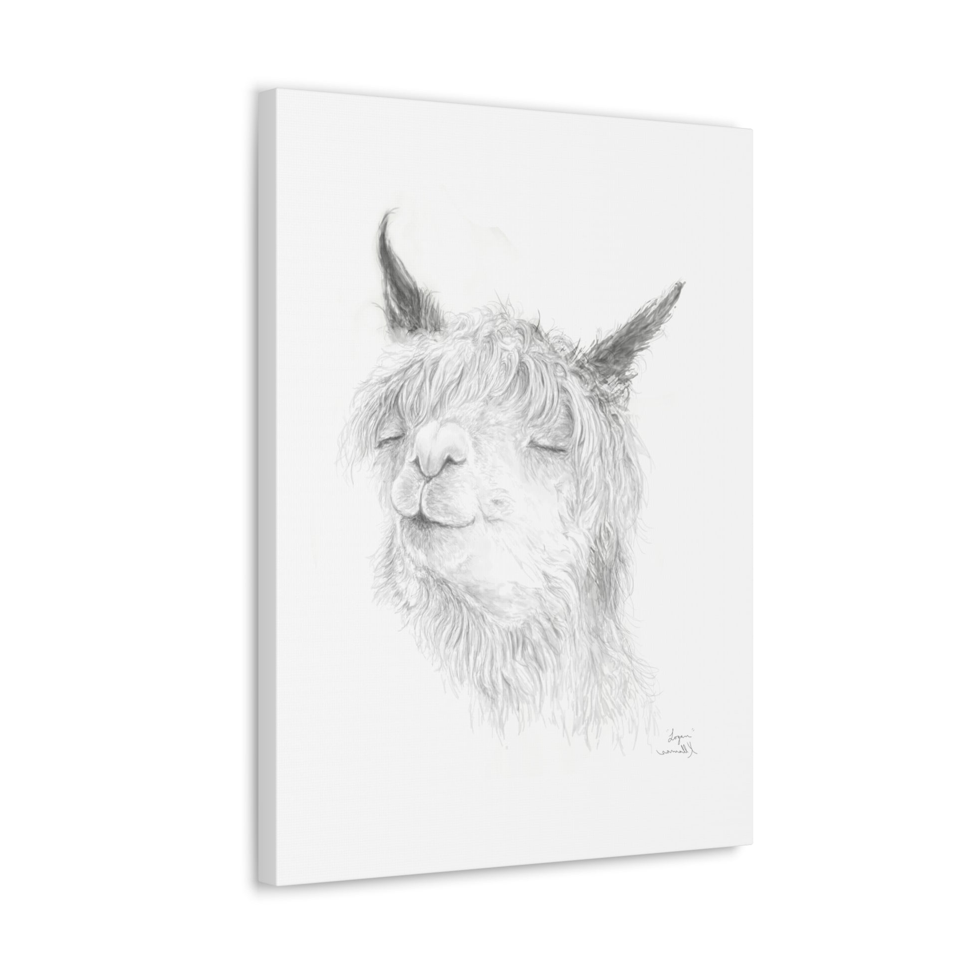LOGAN Llama - Art Canvas
