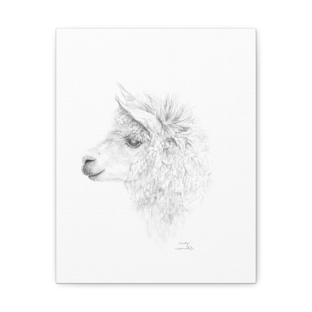 CINDY Llama - Art Canvas
