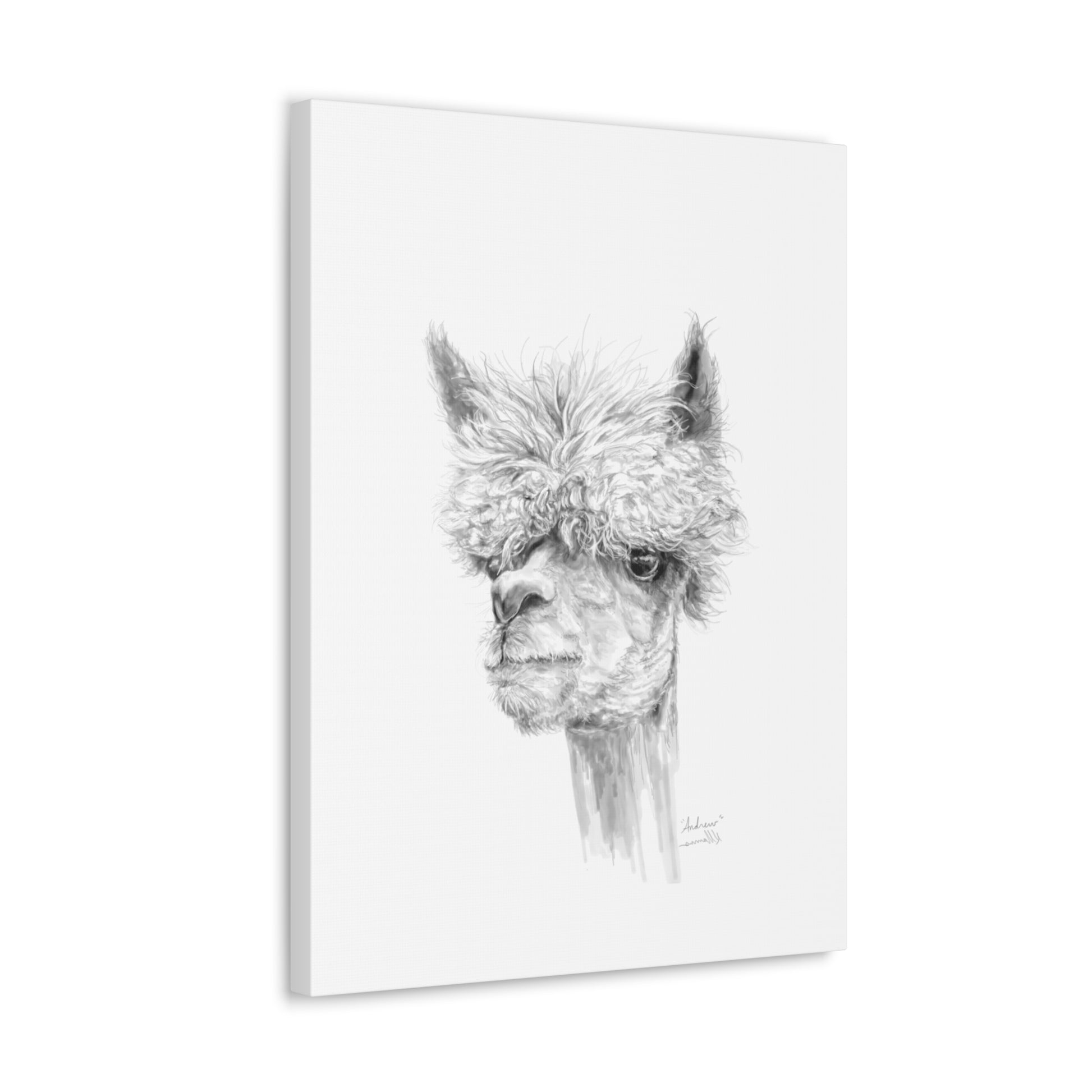 ANDREW llama- Art Canvas