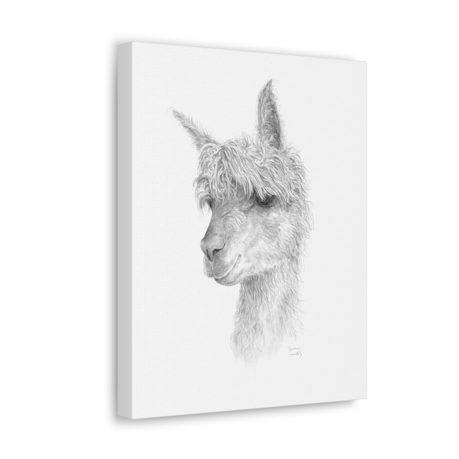 GRAHAM llama- Art Canvas