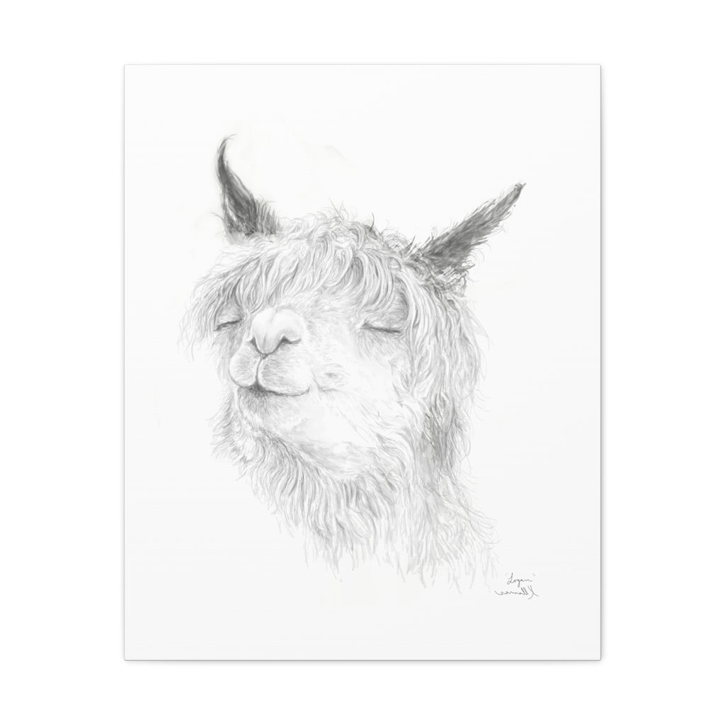 LOGAN Llama - Art Canvas