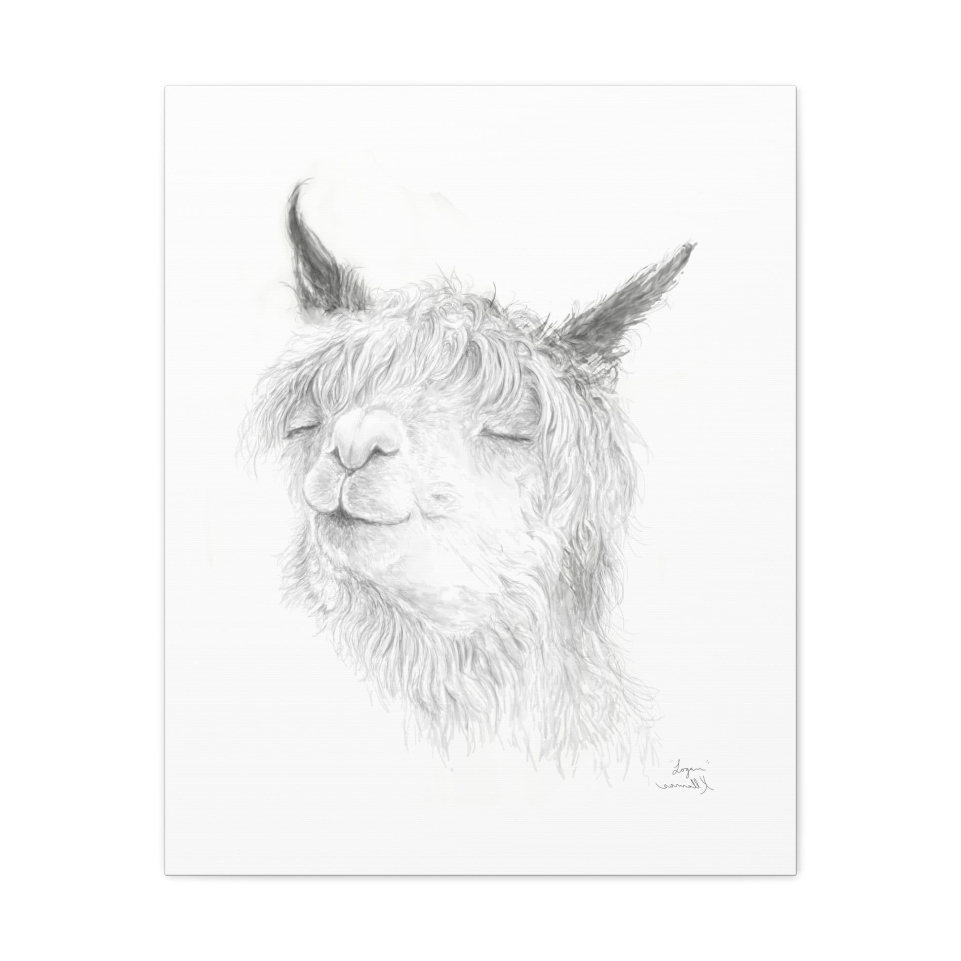 LOGAN Llama - Art Canvas
