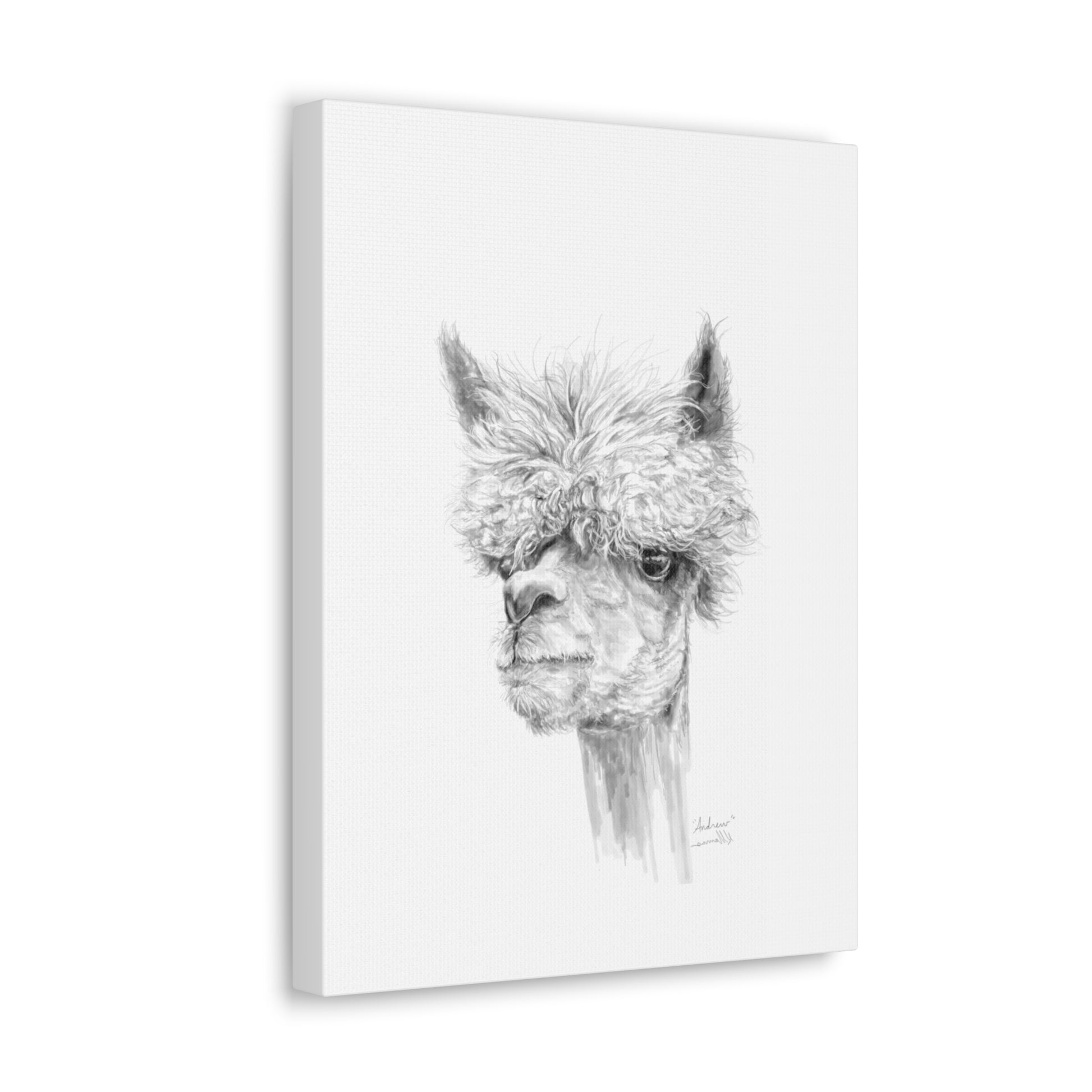 ANDREW llama- Art Canvas