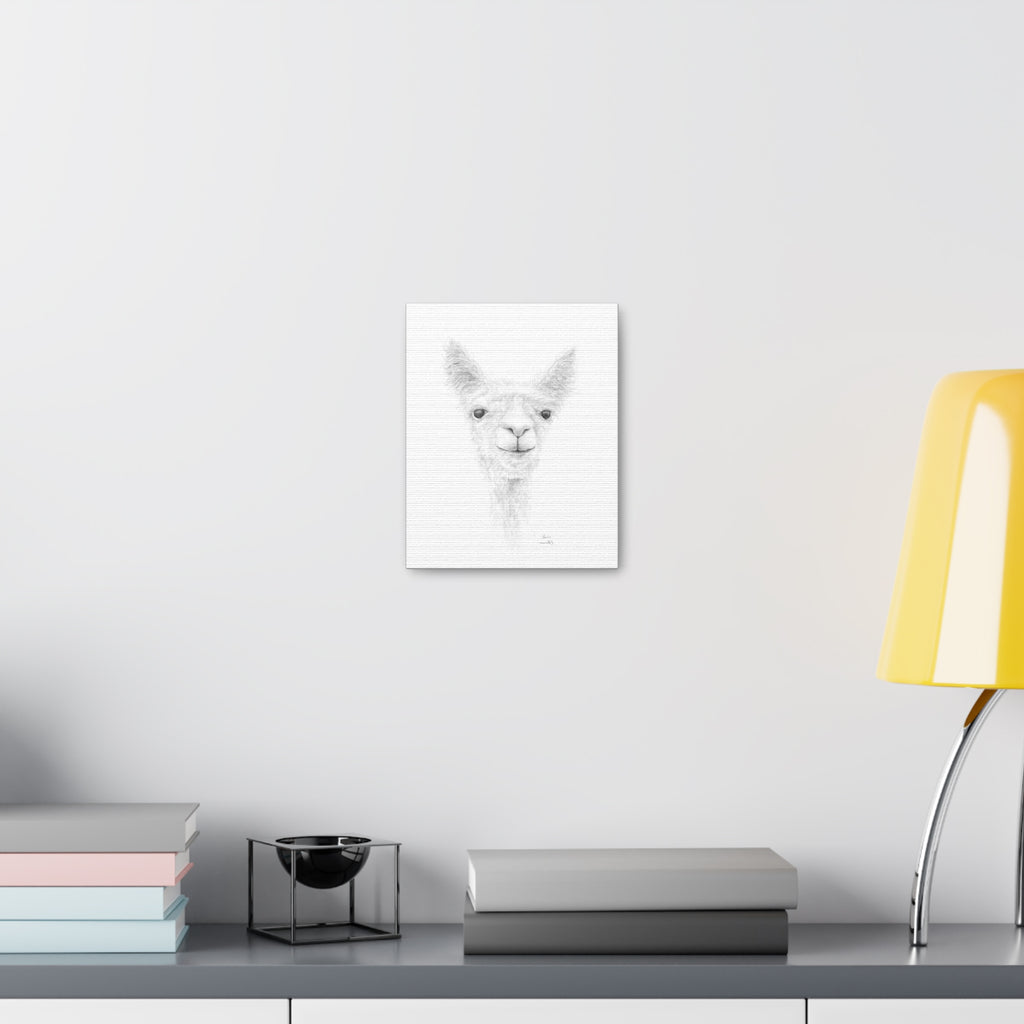 PARIS Llama - Art Canvas