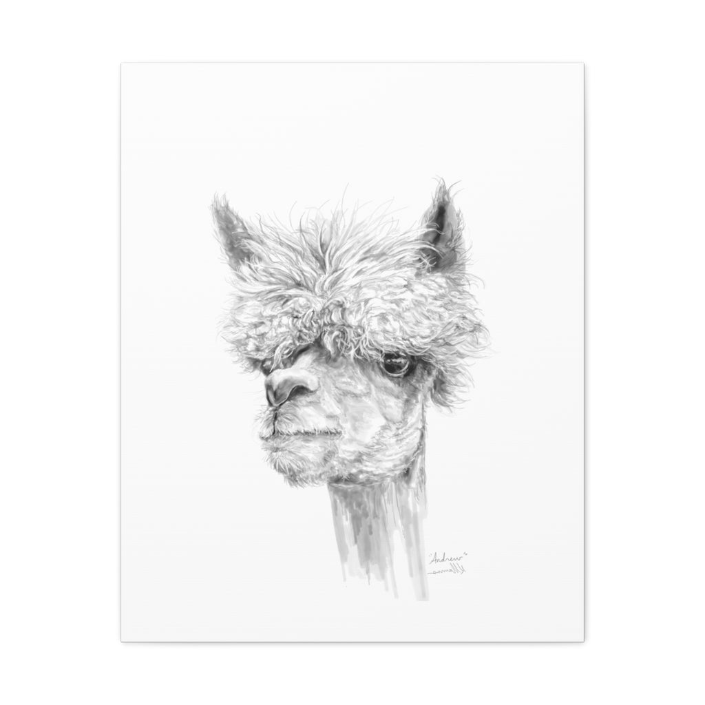 ANDREW llama- Art Canvas