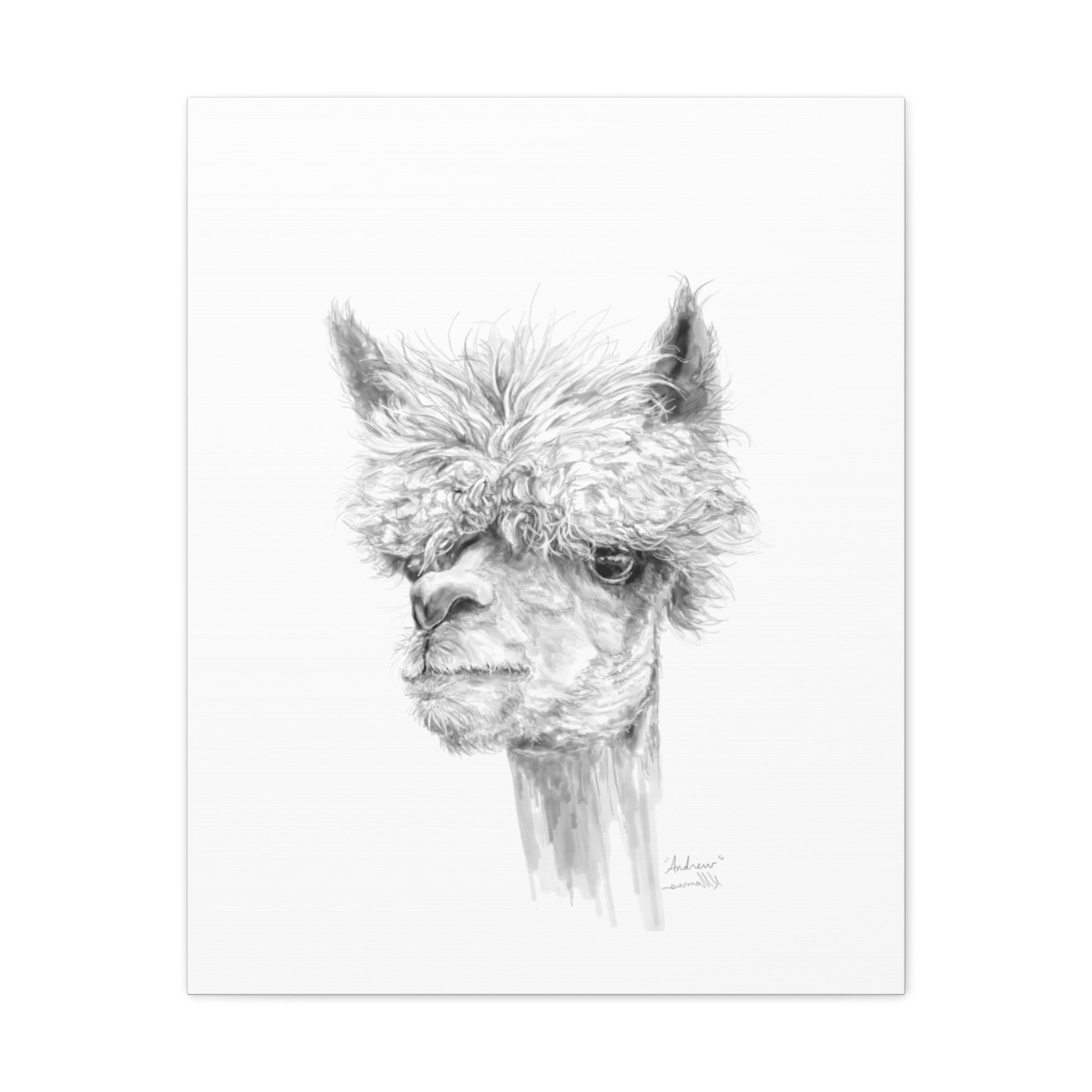 ANDREW llama- Art Canvas