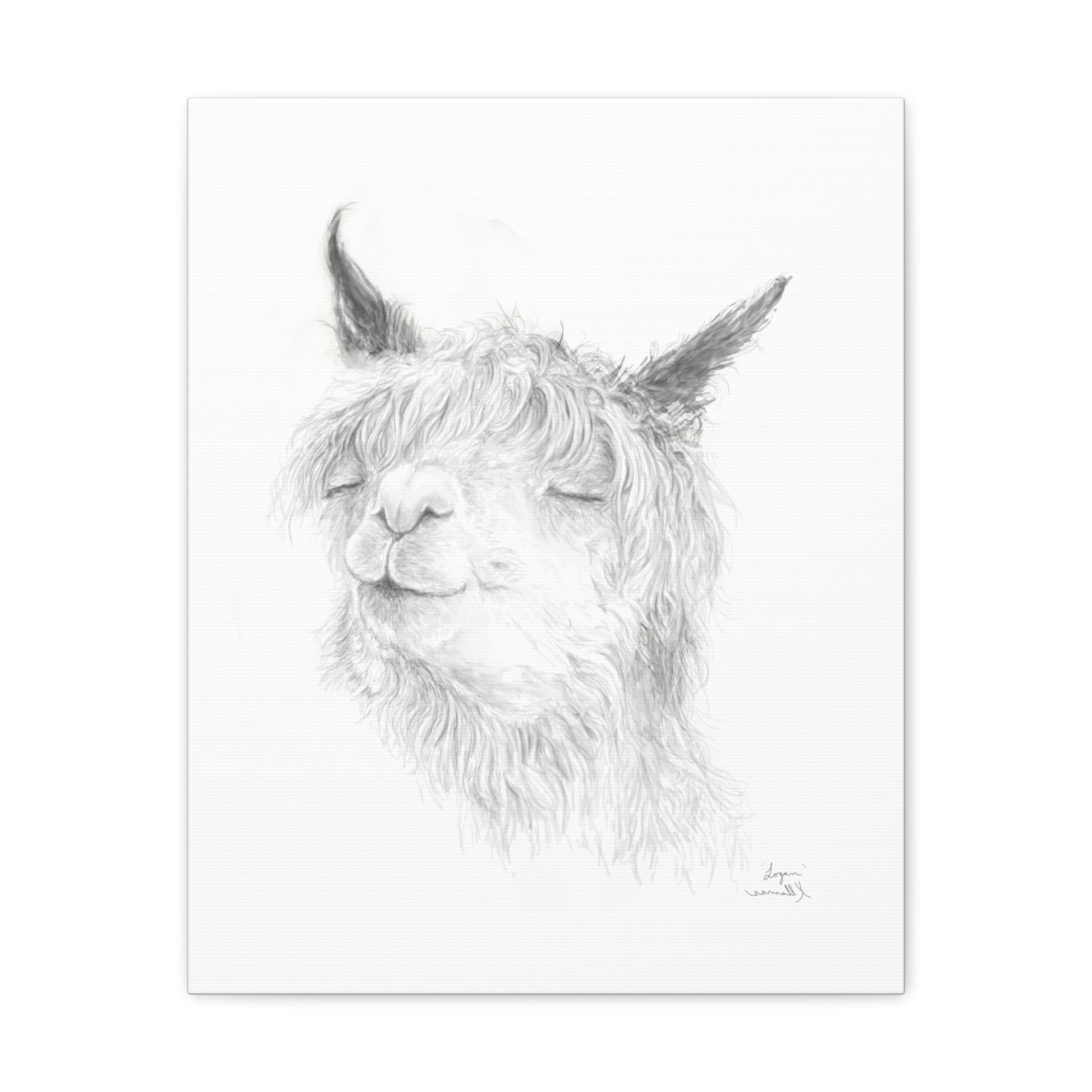 LOGAN Llama - Art Canvas