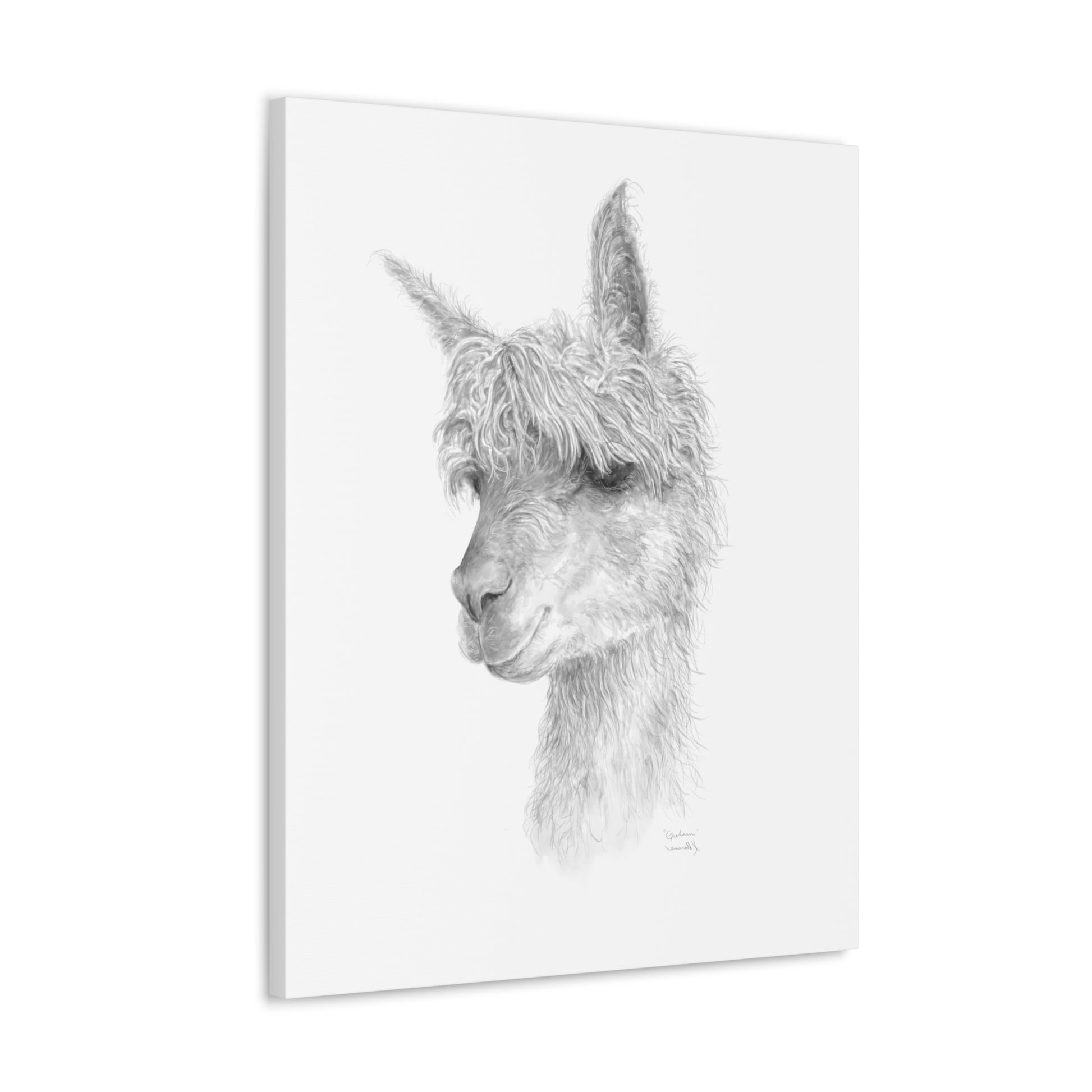 GRAHAM llama- Art Canvas