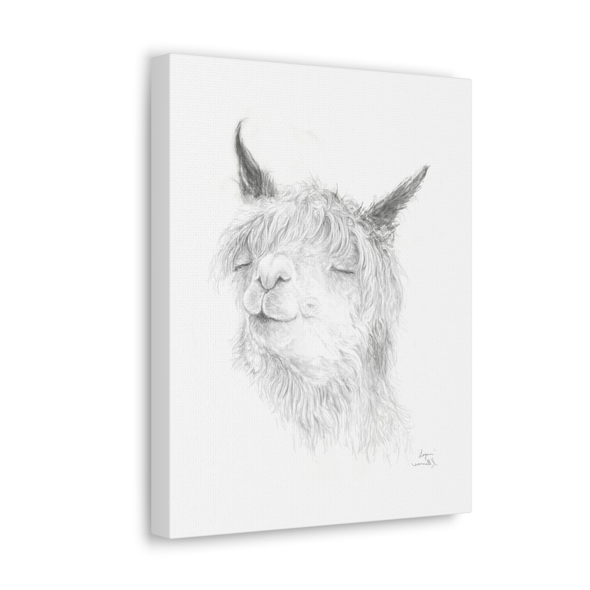 LOGAN Llama - Art Canvas