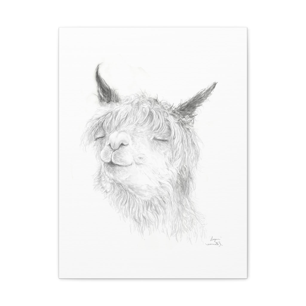 LOGAN Llama - Art Canvas