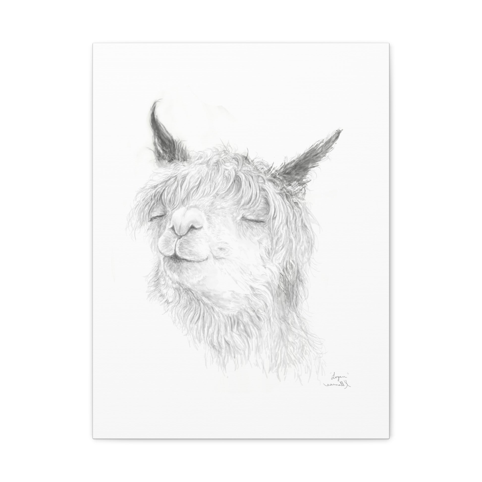 LOGAN Llama - Art Canvas