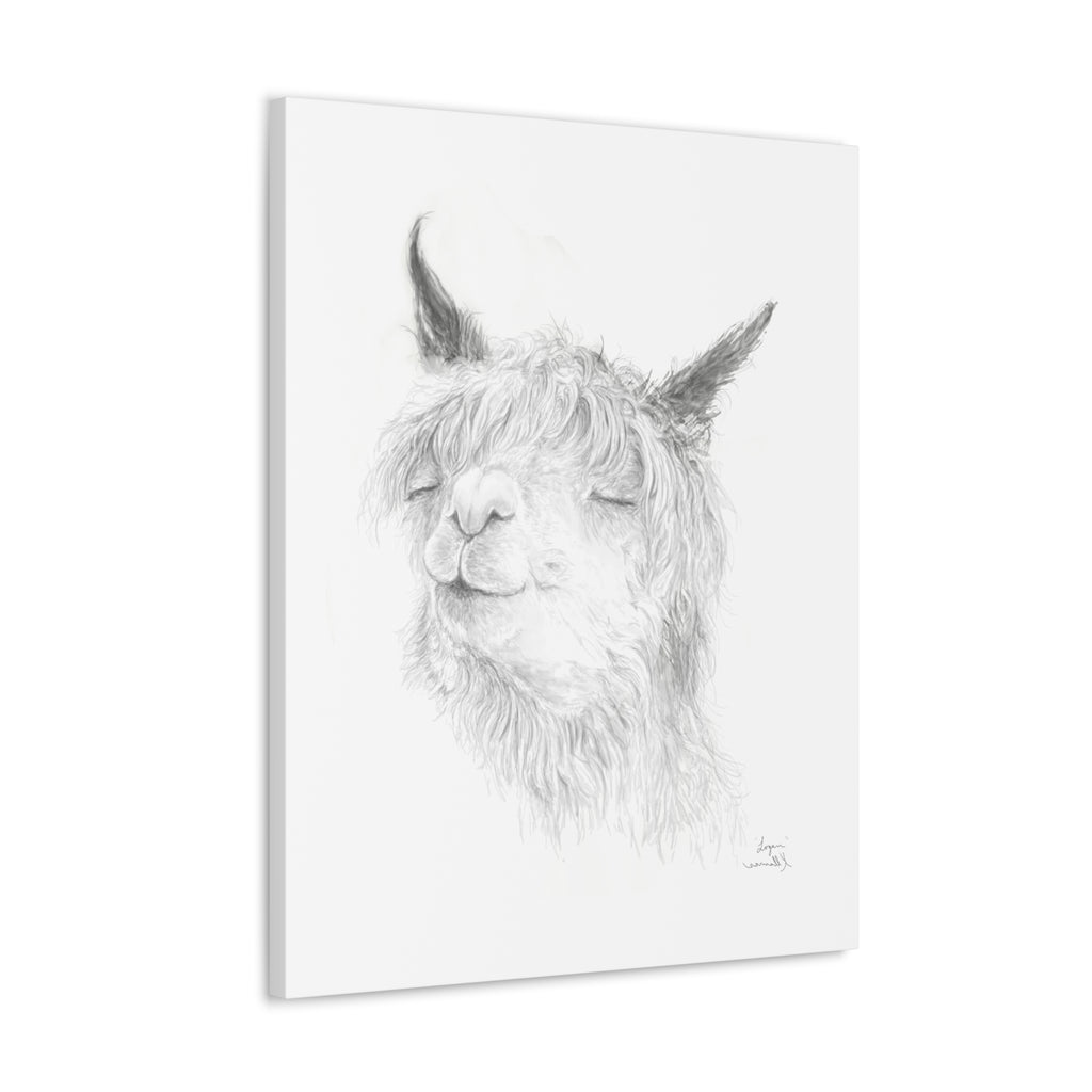 LOGAN Llama - Art Canvas