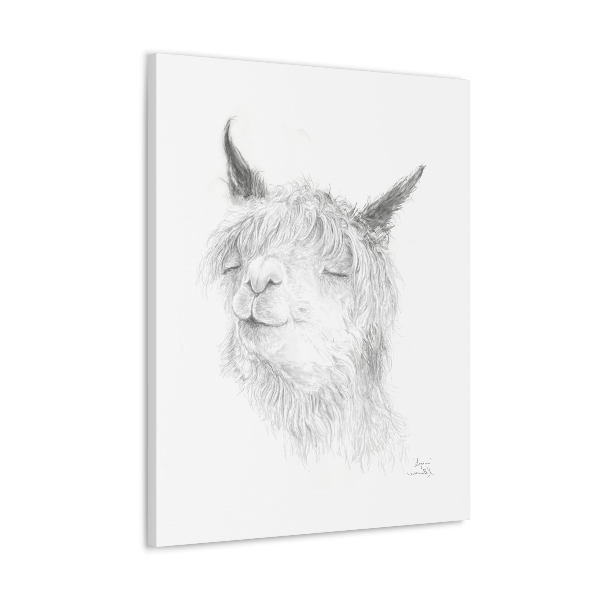 LOGAN Llama - Art Canvas
