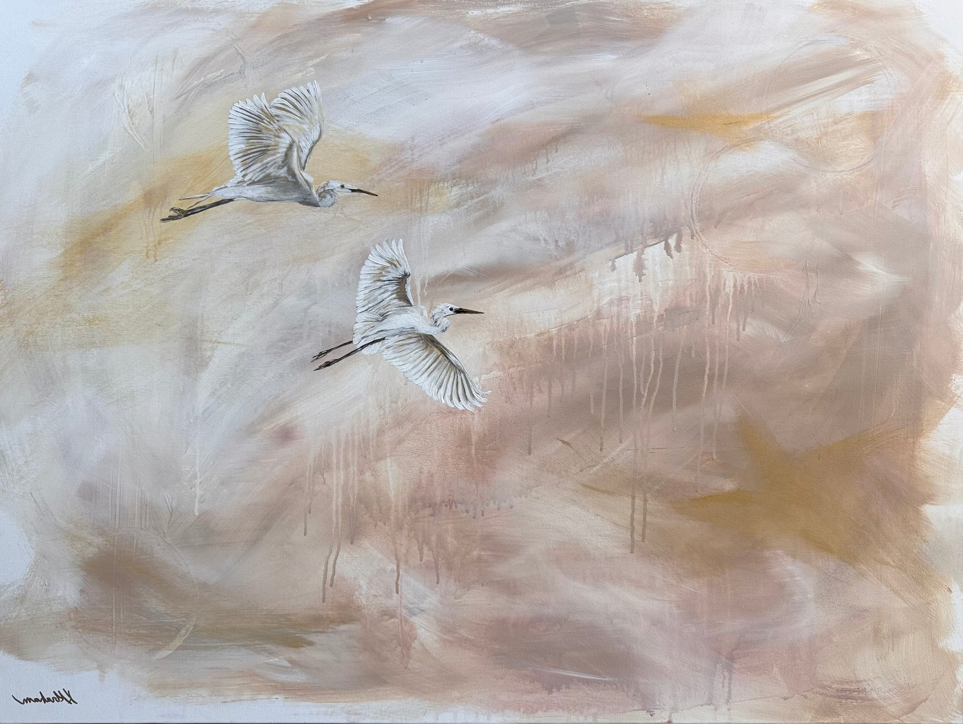 Soar