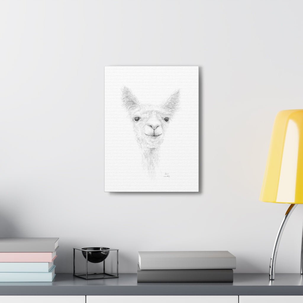 PARIS Llama - Art Canvas